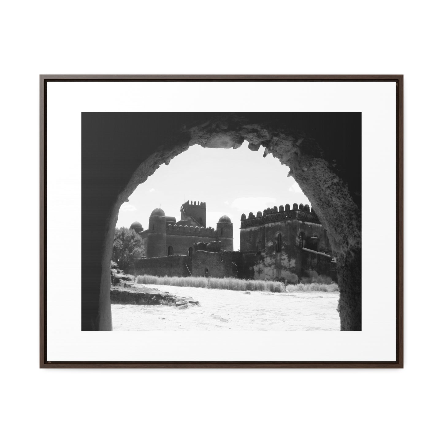 Through the Lion's Jaws - Framed Canvas Photography b&w