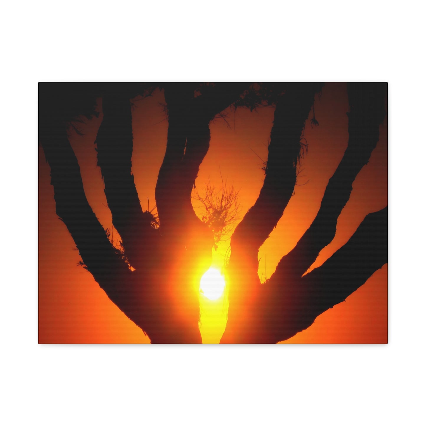 De-Light in the Heart of the Soul - Canvas Photography