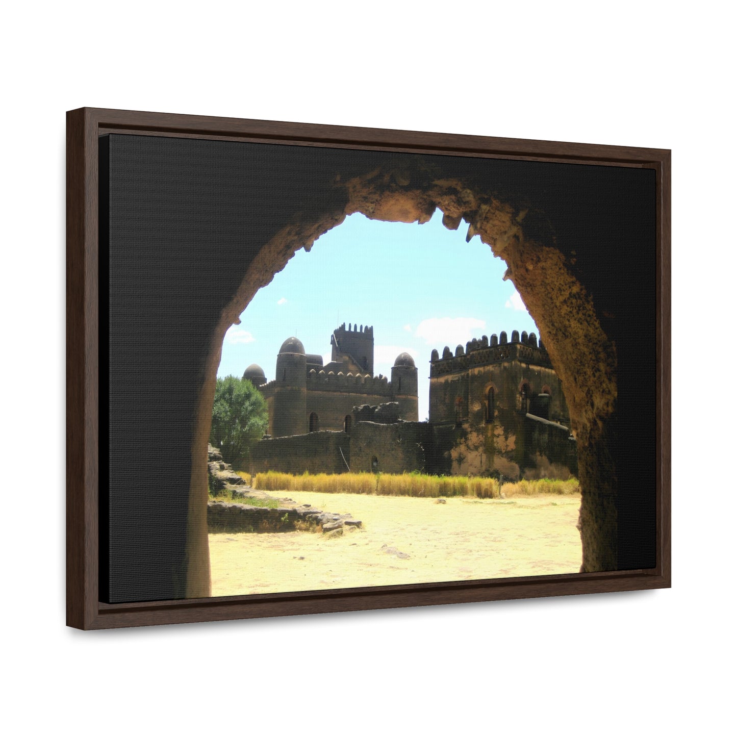 Through the Lion's Jaws - Framed Canvas Photography