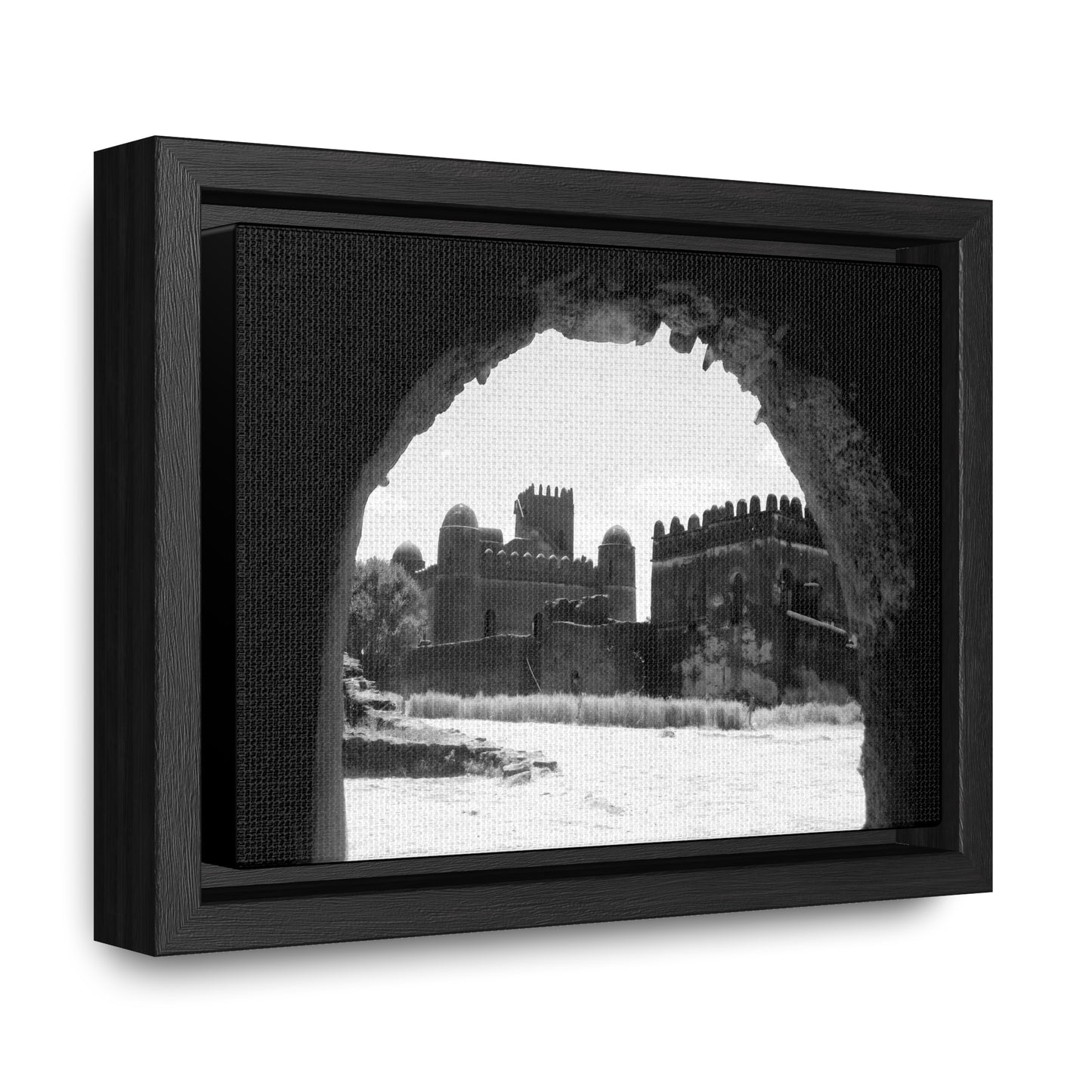 Through the Lion's Jaws - Framed Canvas Photography b&w
