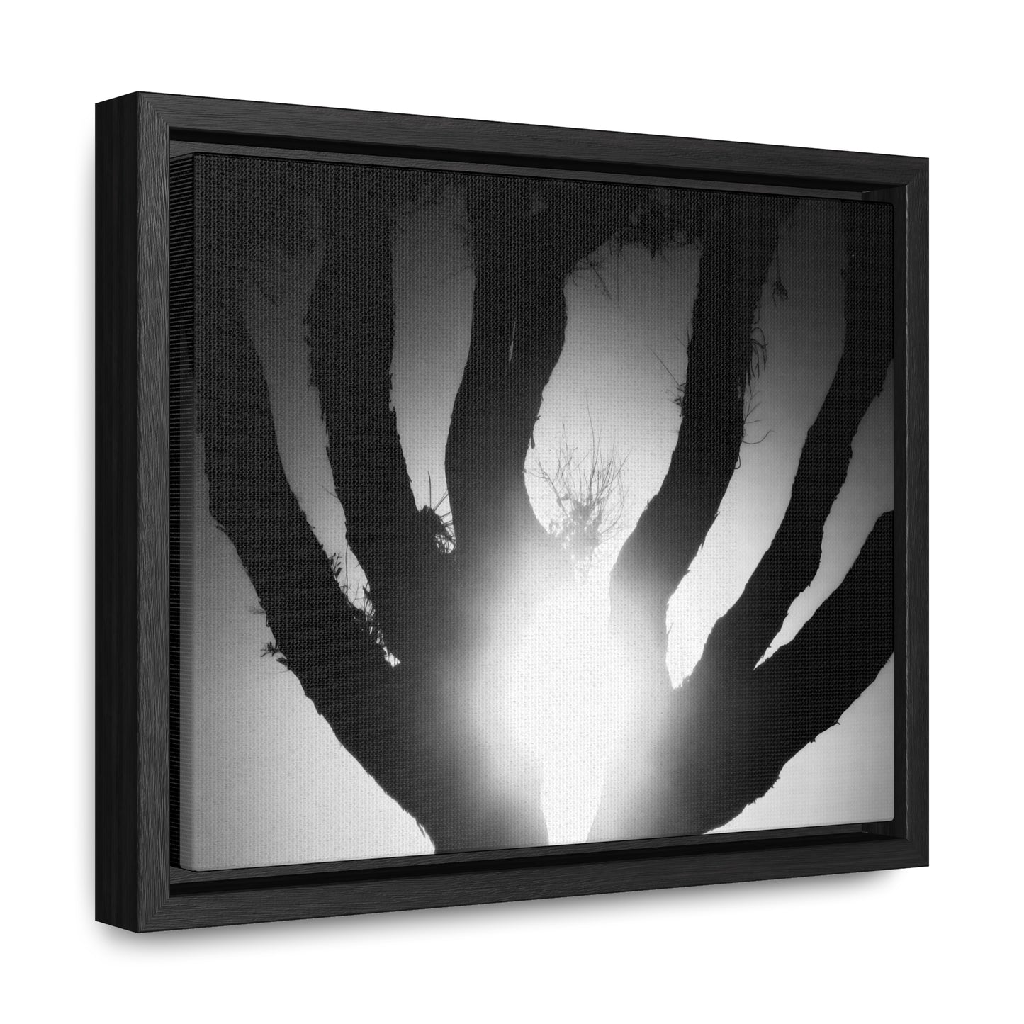 De-Light in the Heart of the Soul - Framed Canvas b&w Photography