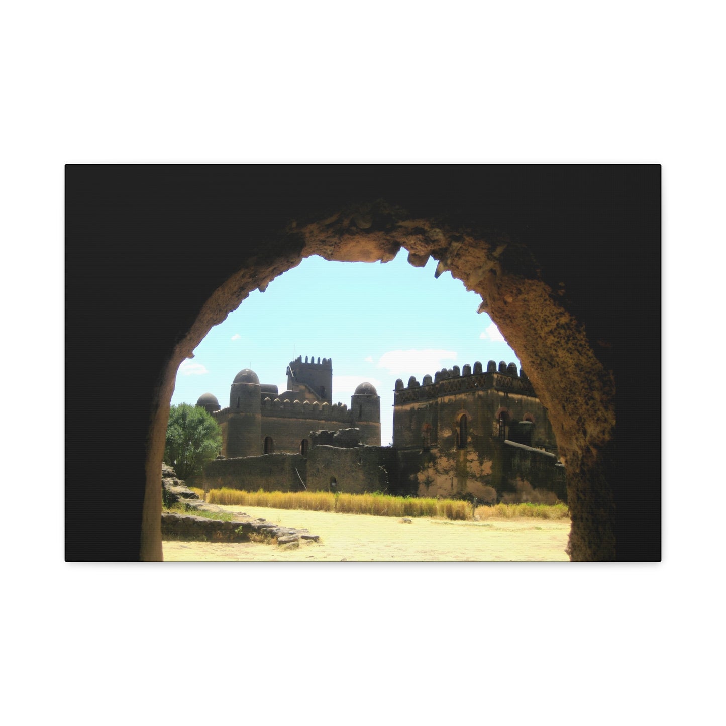 Through the Lion's Jaws - Canvas Photography
