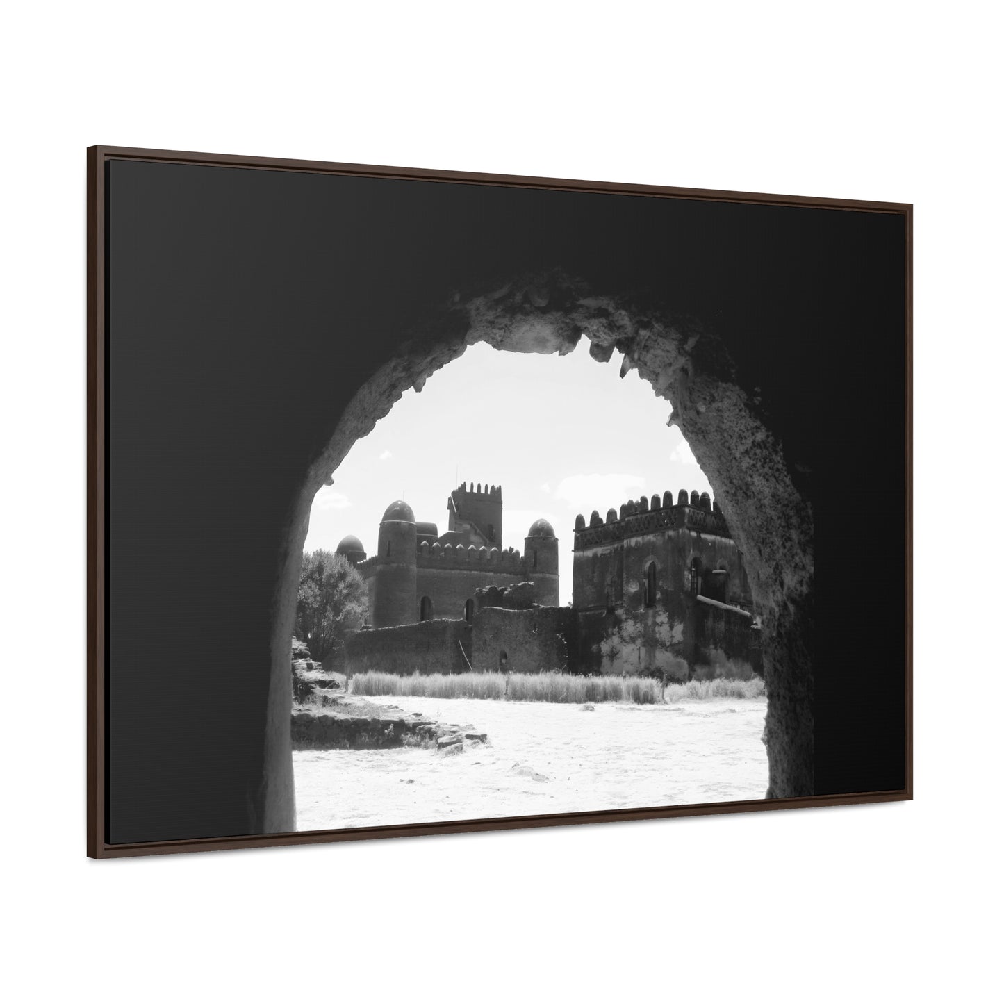 Through the Lion's Jaws - Framed Canvas Photography b&w
