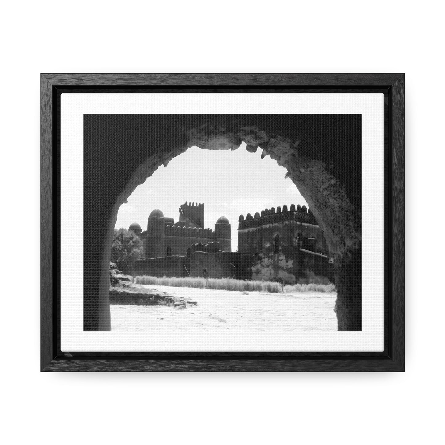 Through the Lion's Jaws - Framed Canvas Photography b&w