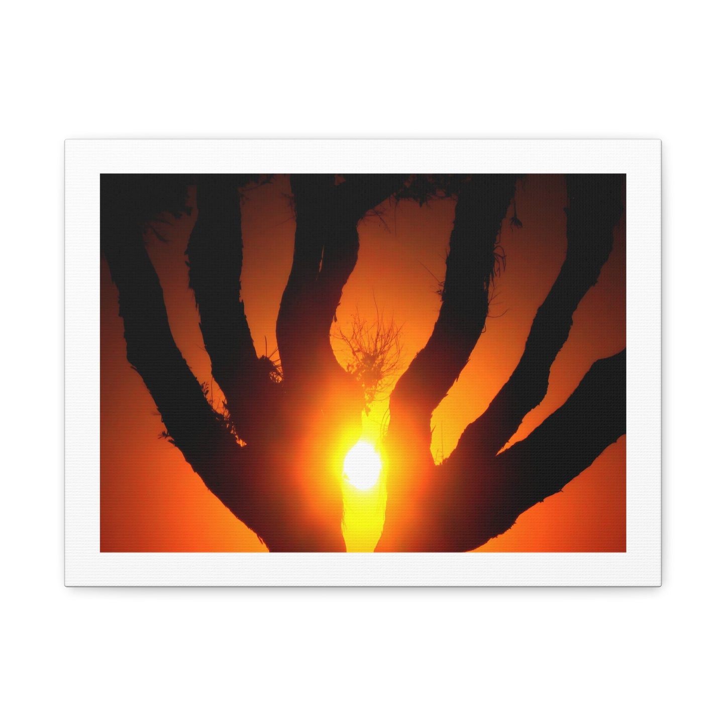 De-Light in the Heart of the Soul - Canvas Photography