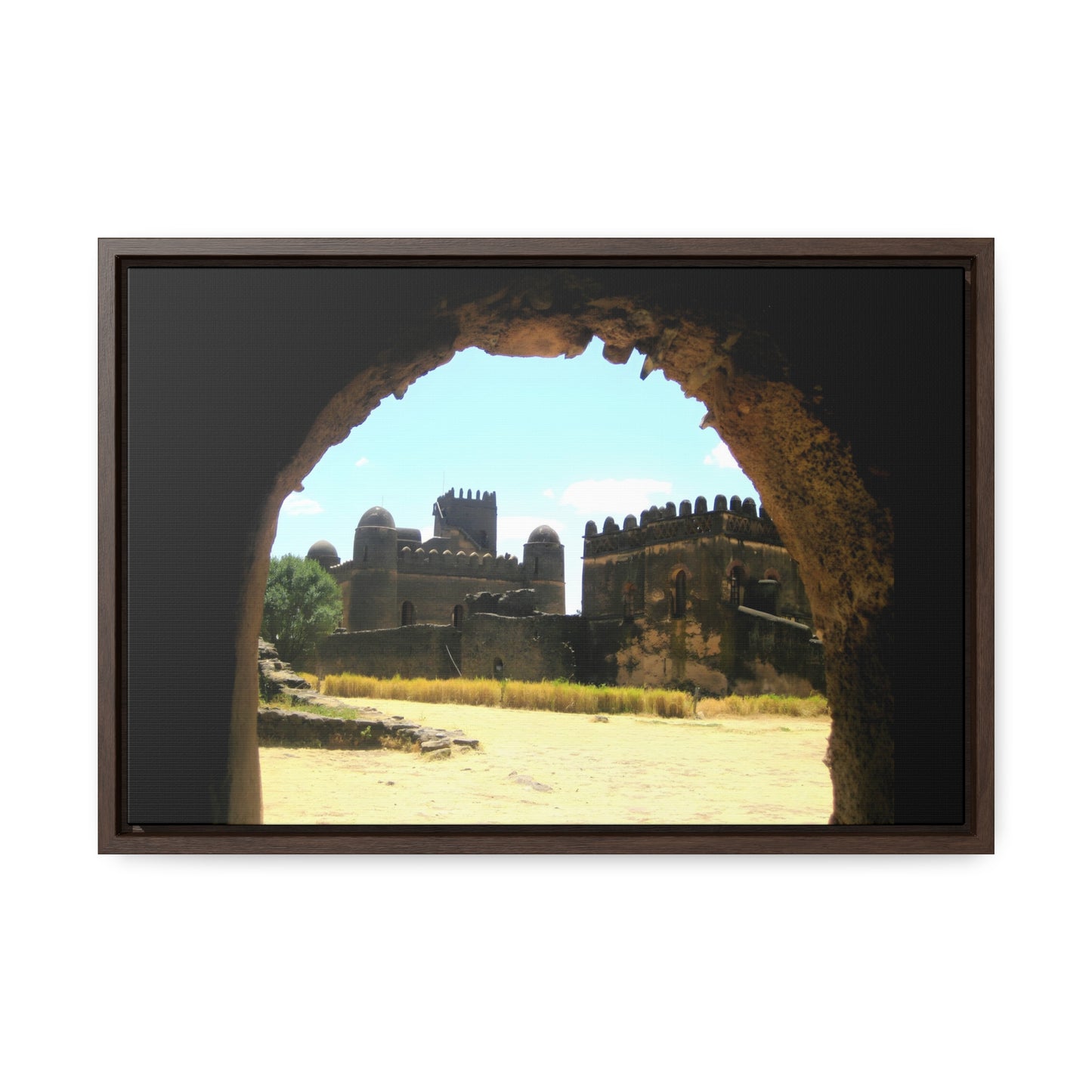 Through the Lion's Jaws - Framed Canvas Photography
