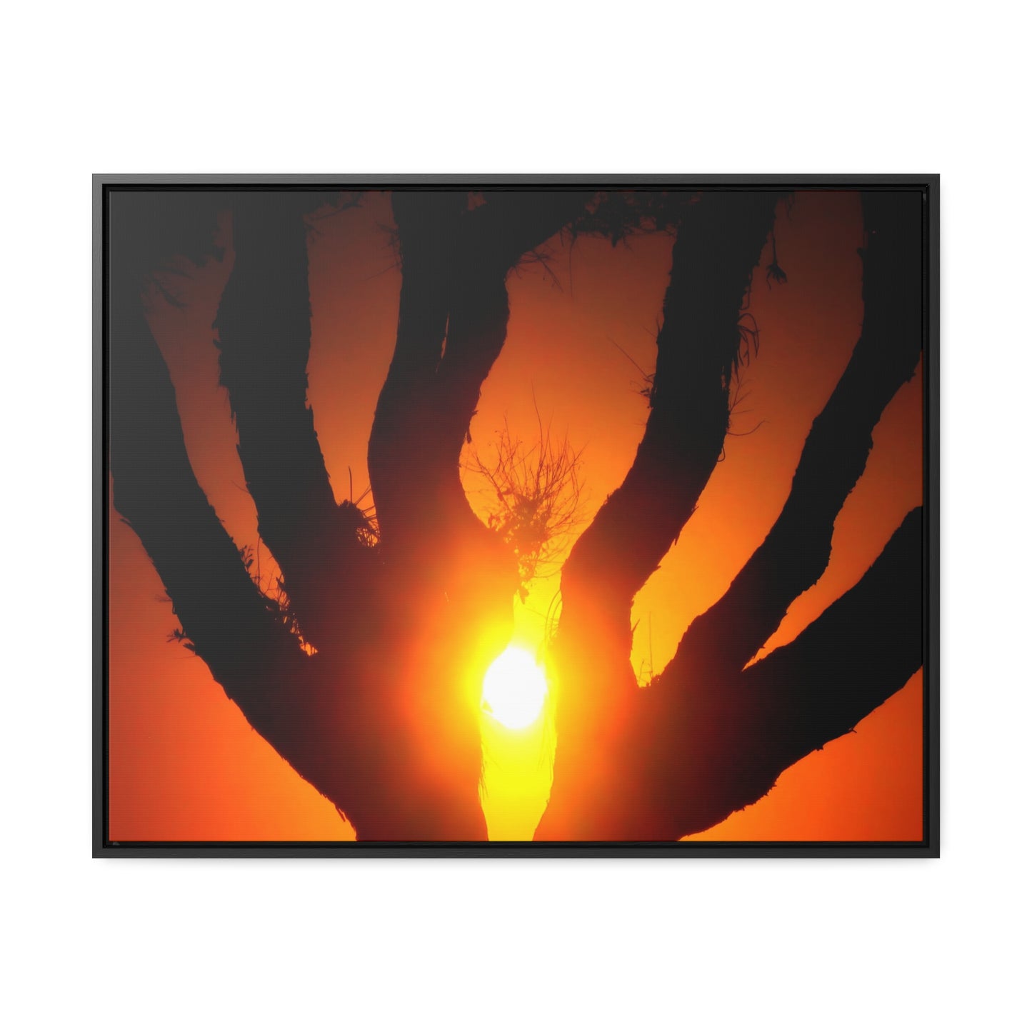 De-Light in the Heart of the Soul - Framed Canvas Photography
