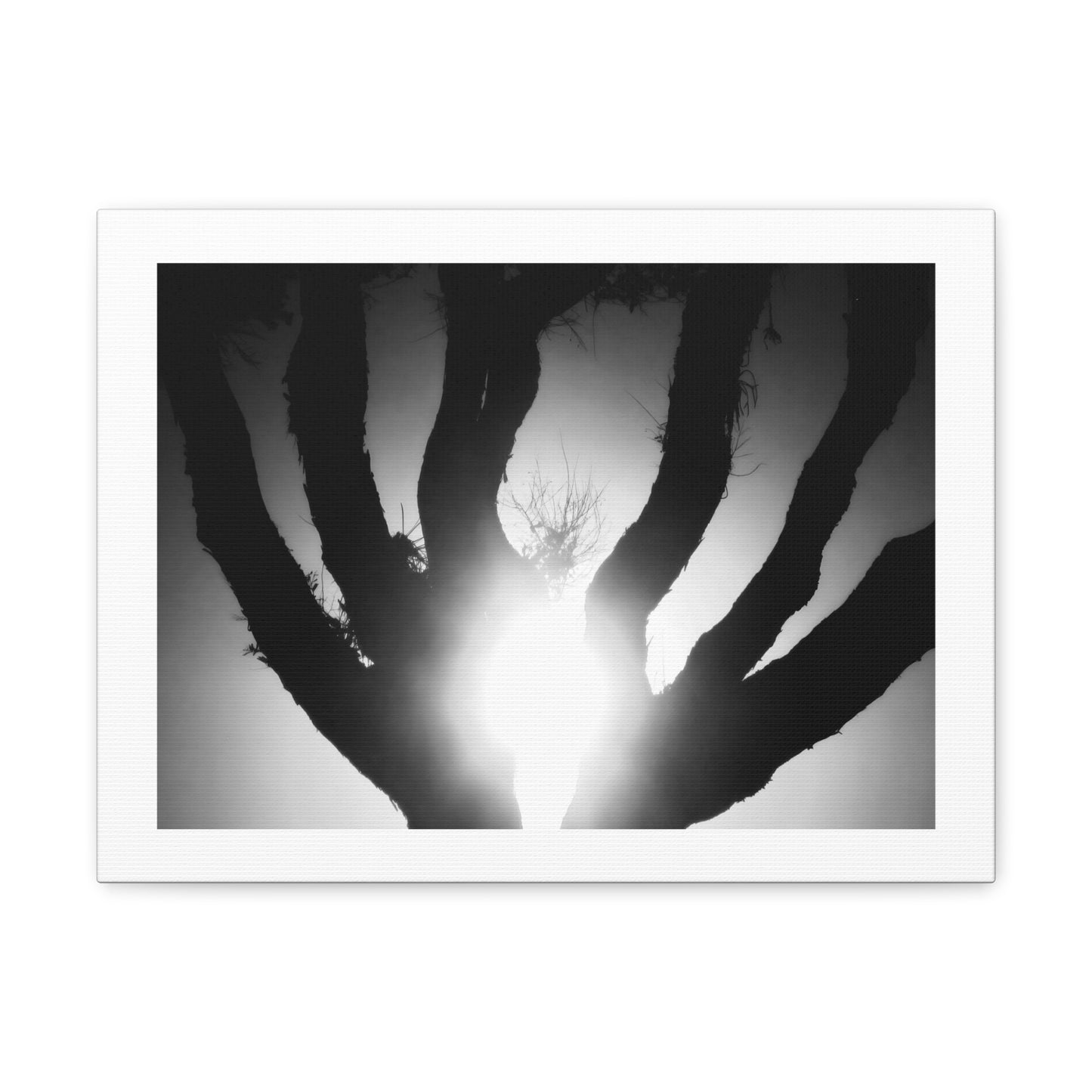 De-Light in the Heart of the Soul - Canvas Photography b/w