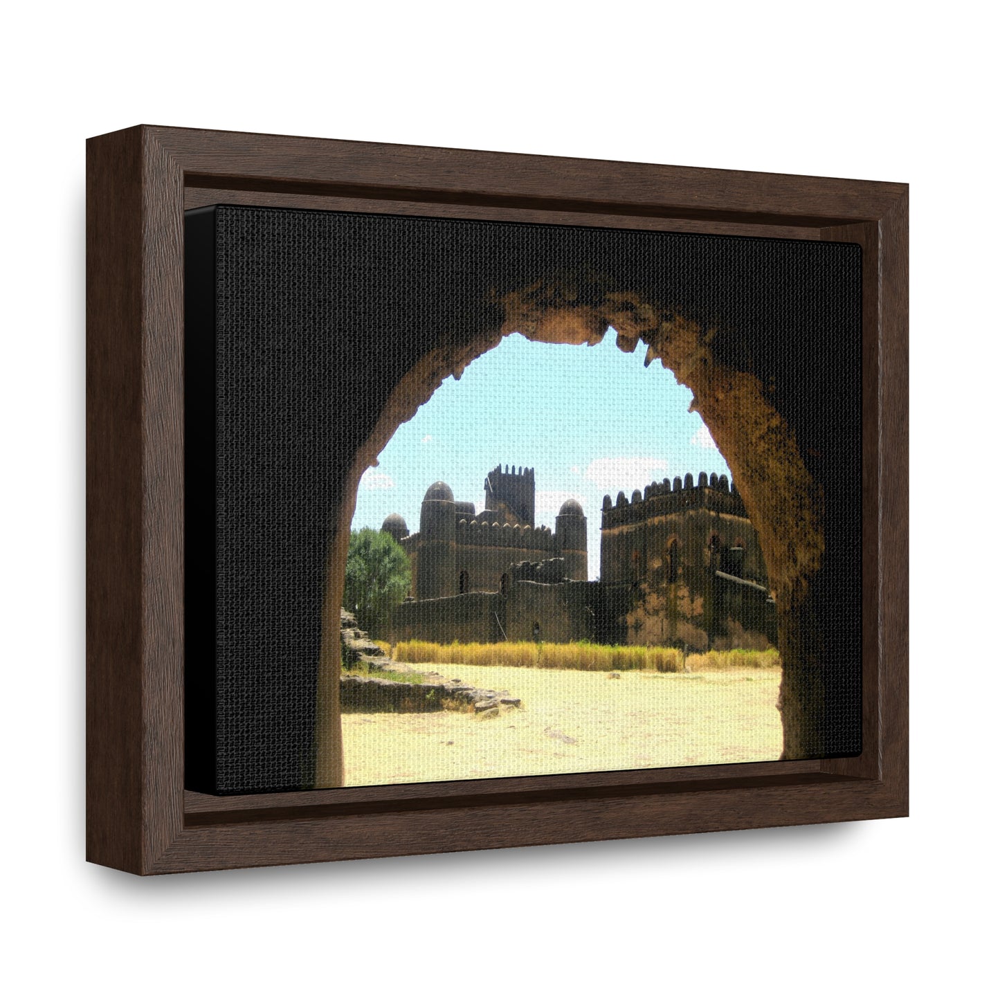 Through the Lion's Jaws - Framed Canvas Photography