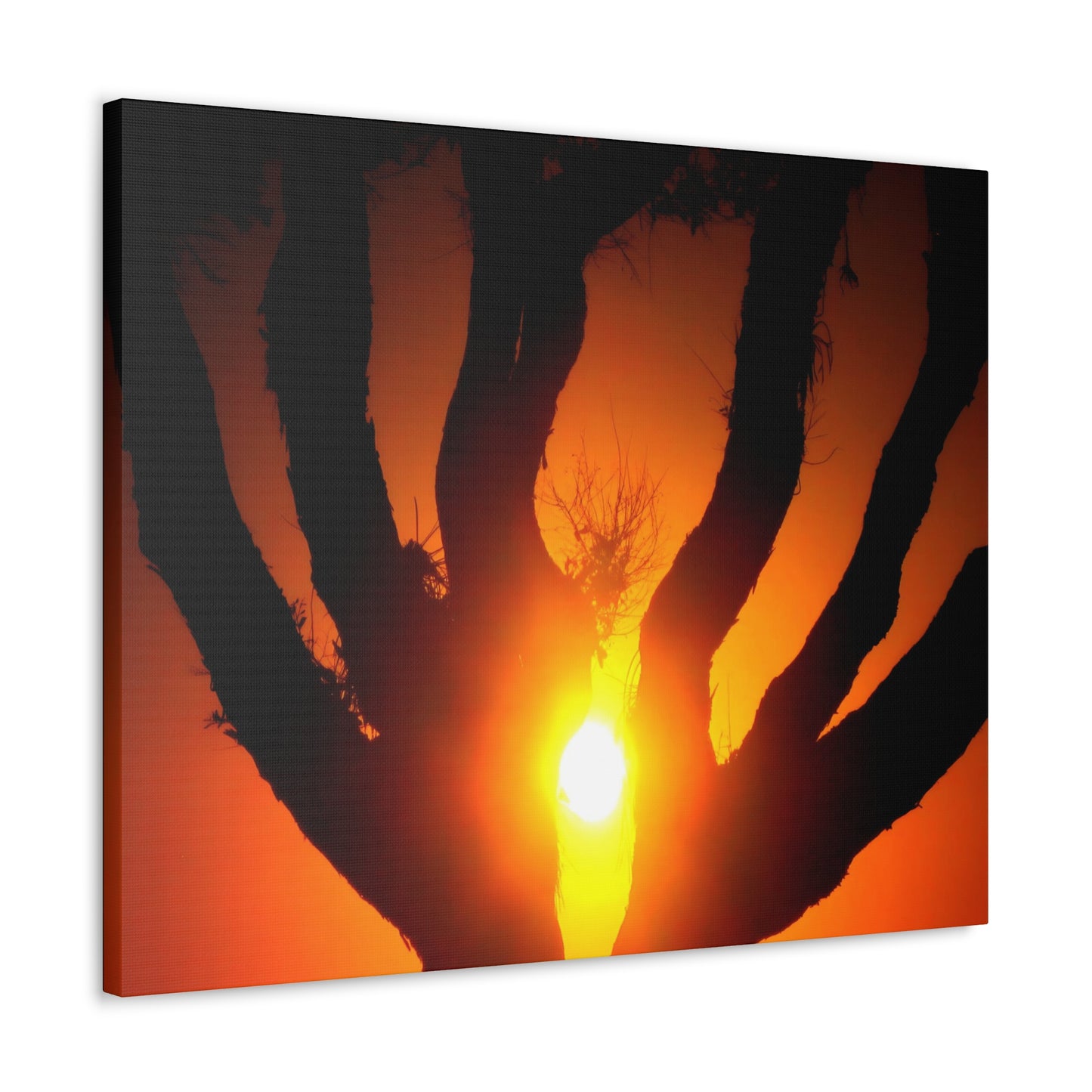 De-Light in the Heart of the Soul - Canvas Photography