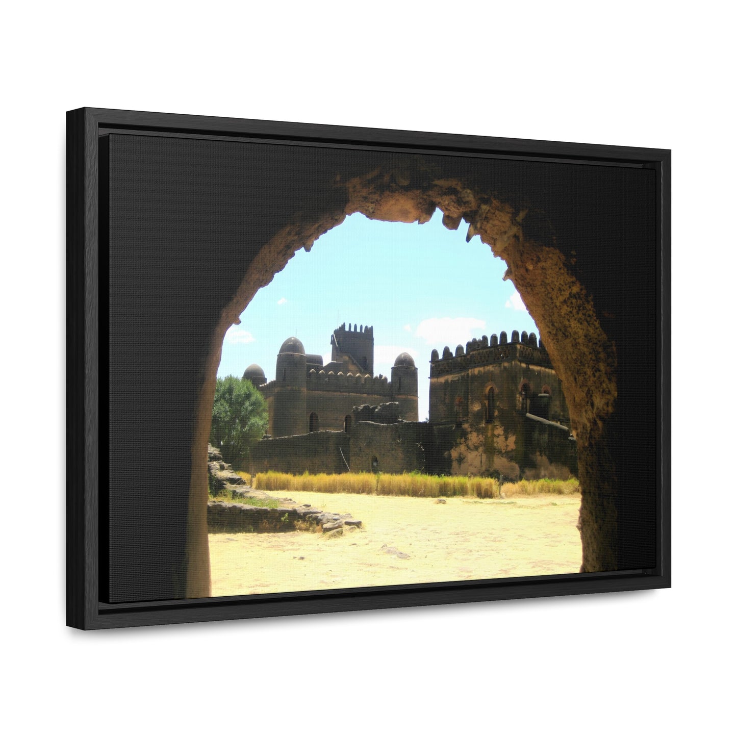 Through the Lion's Jaws - Framed Canvas Photography