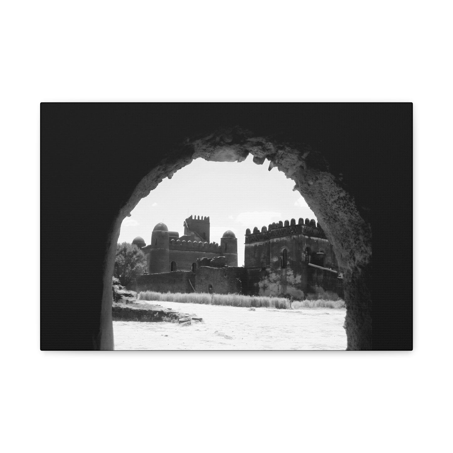 Through the Lion's Jaws - Canvas Photography b&w