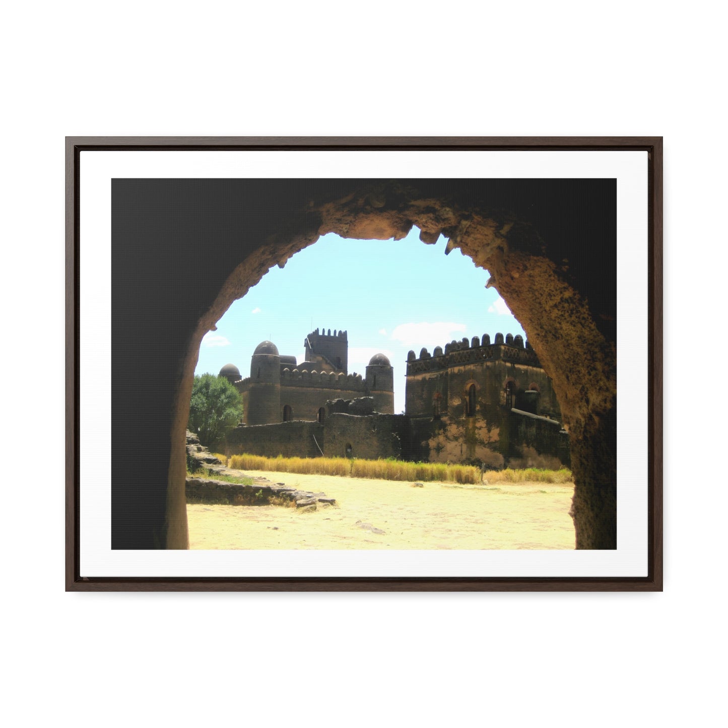 Through the Lion's Jaws - Framed Canvas Photography