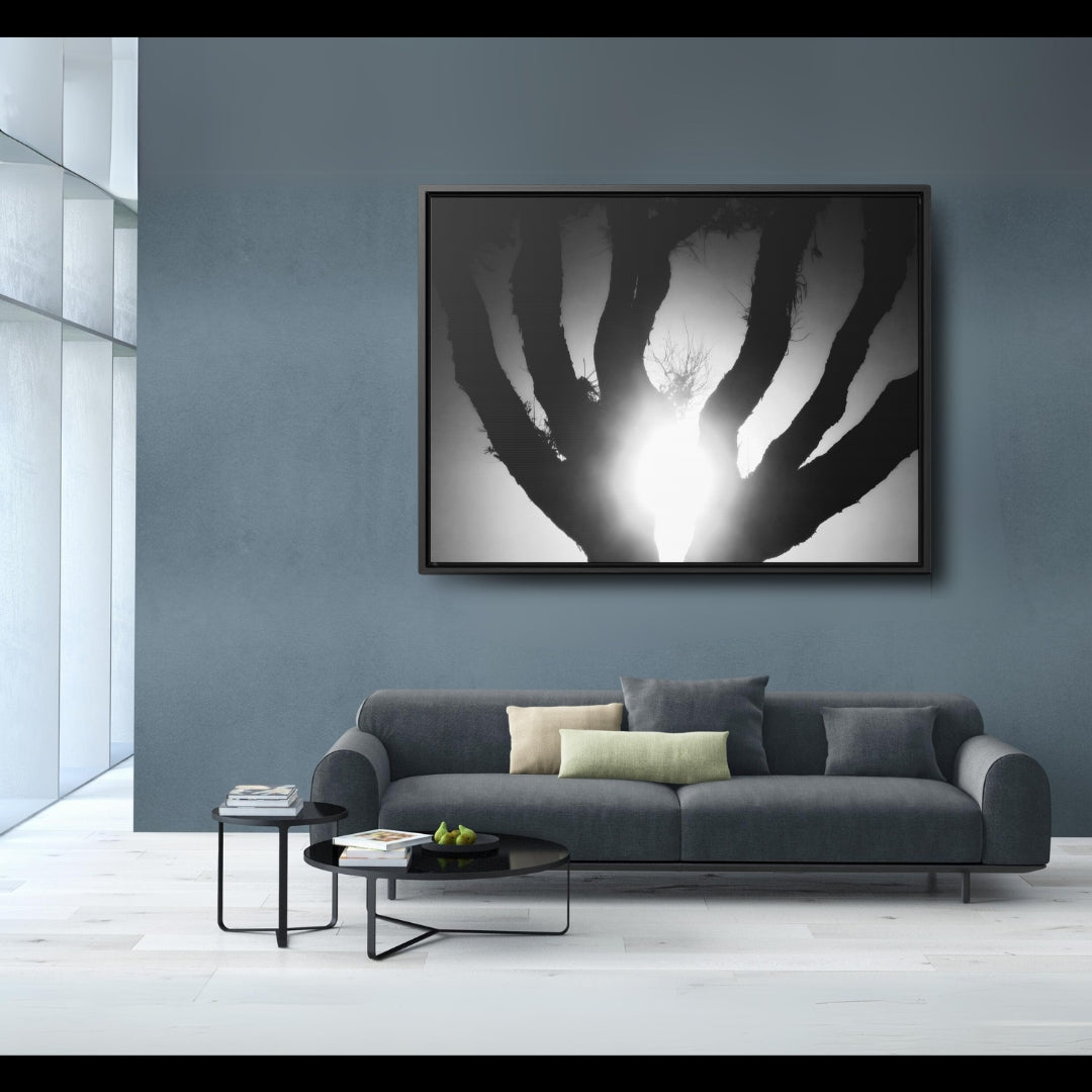 De-Light in the Heart of the Soul - Framed Canvas b&w Photography