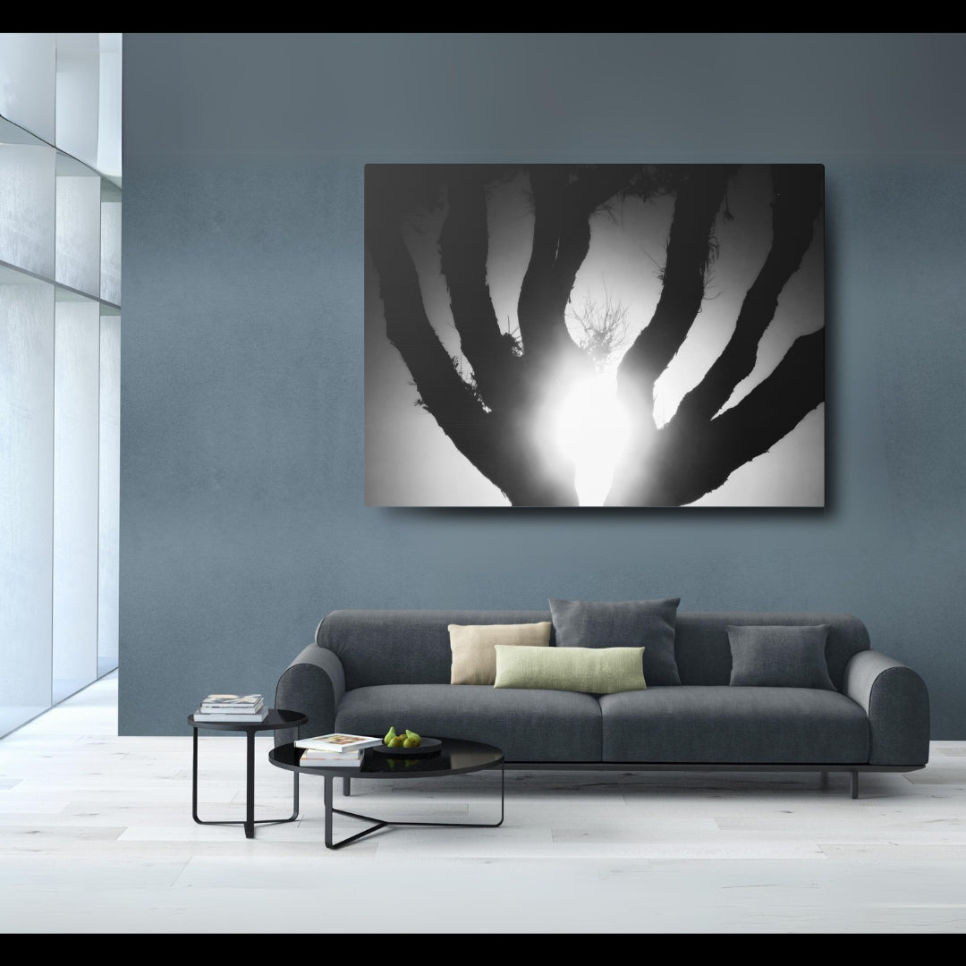 De-Light in the Heart of the Soul - Canvas Photography b/w