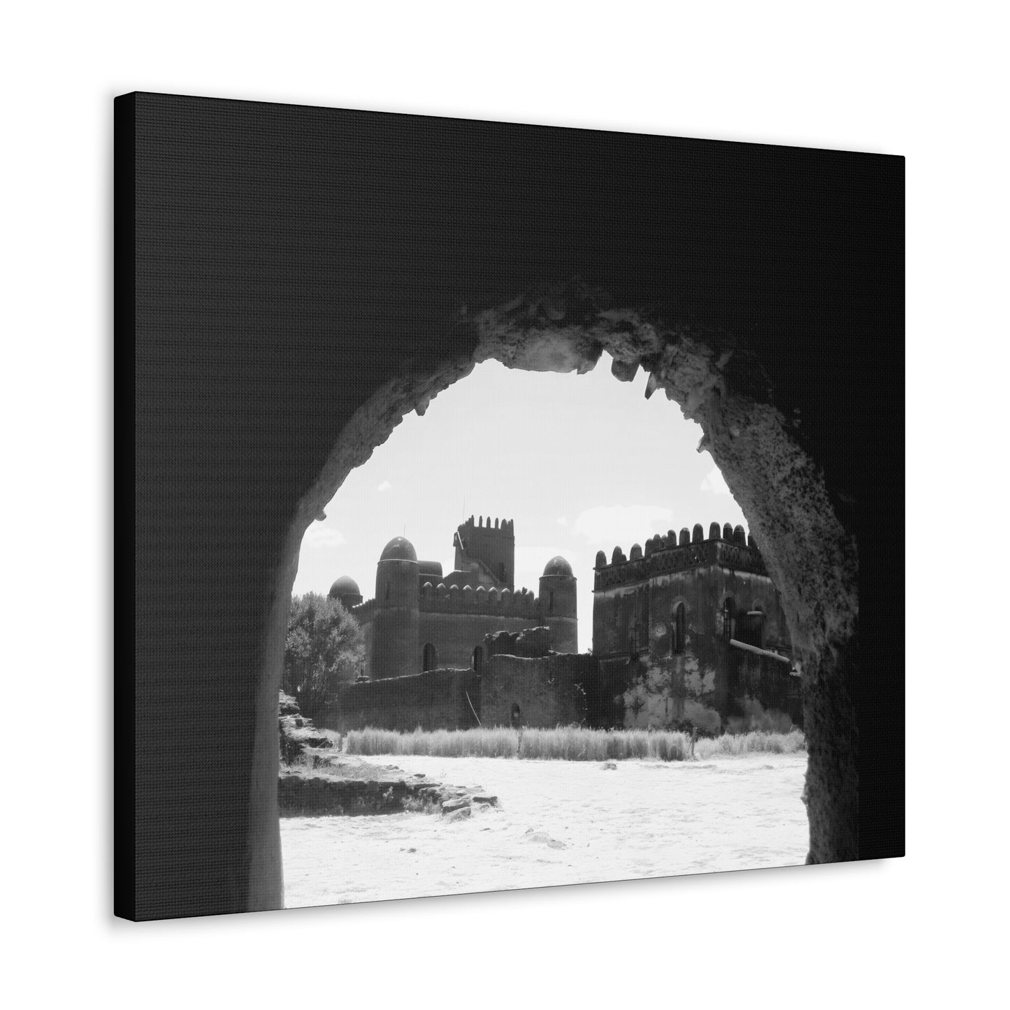 Through the Lion's Jaws - Canvas Photography b&w