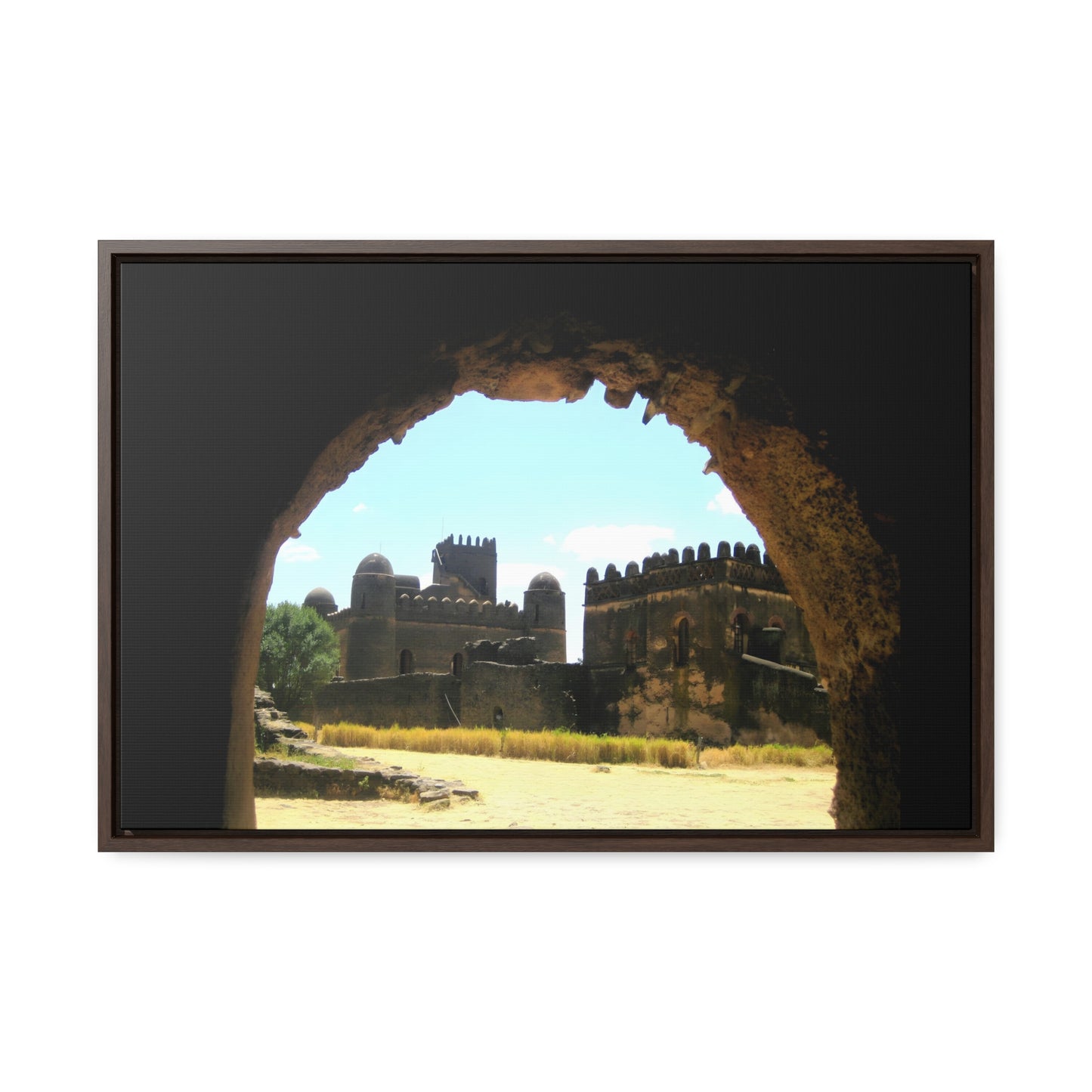 Through the Lion's Jaws - Framed Canvas Photography