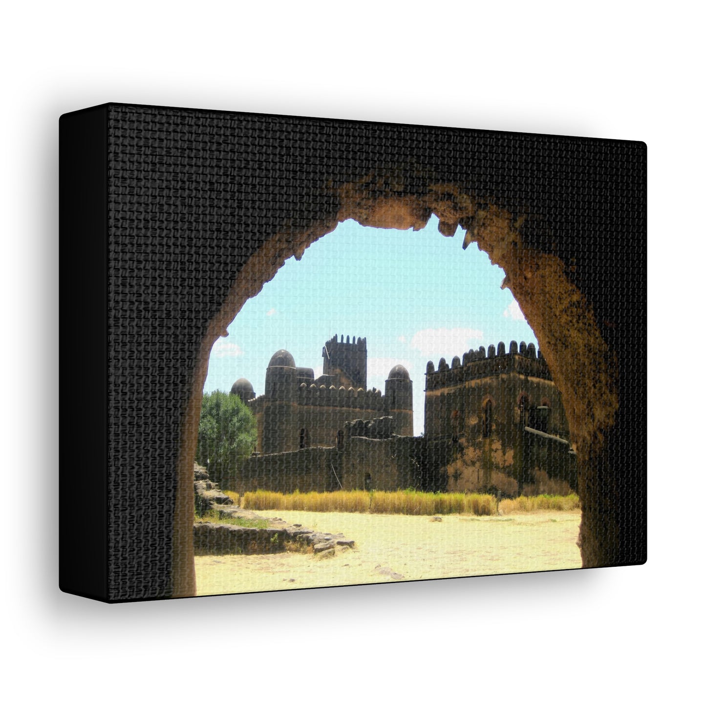 Through the Lion's Jaws - Canvas Photography