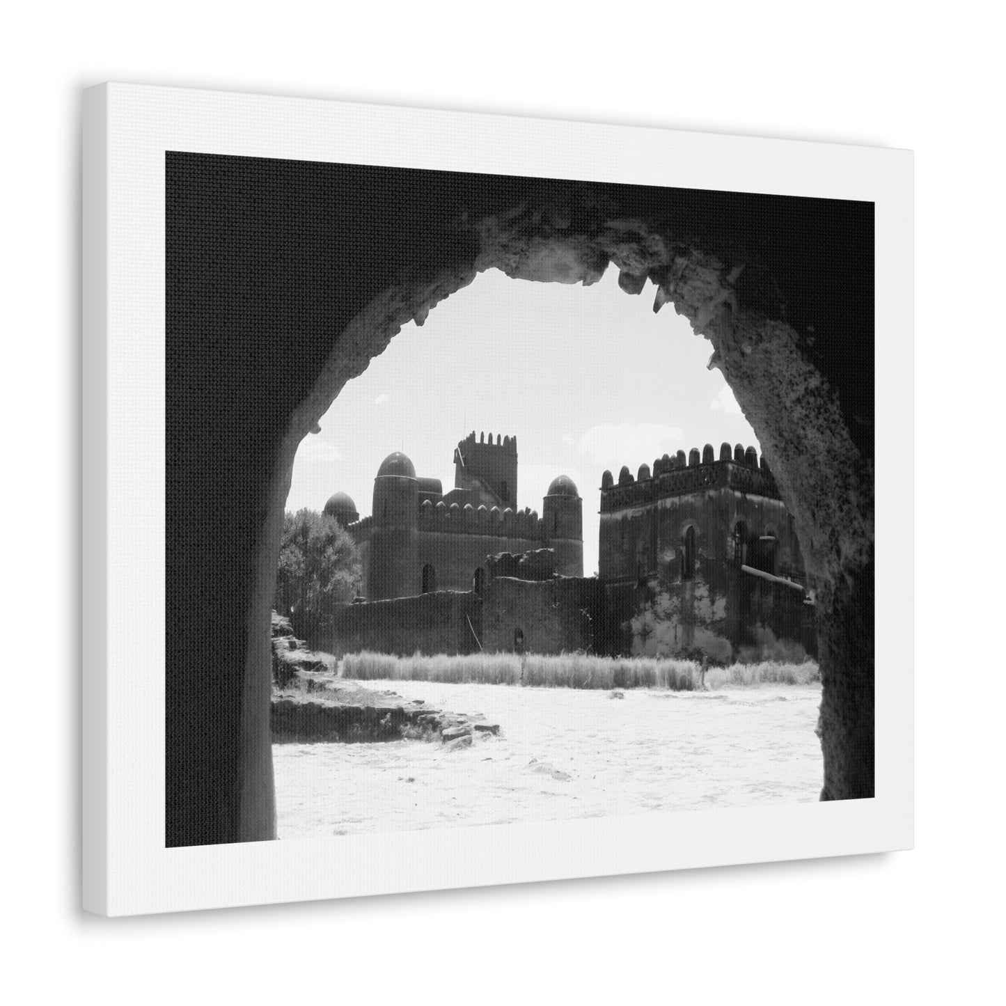 Through the Lion's Jaws - Canvas Photography b&w