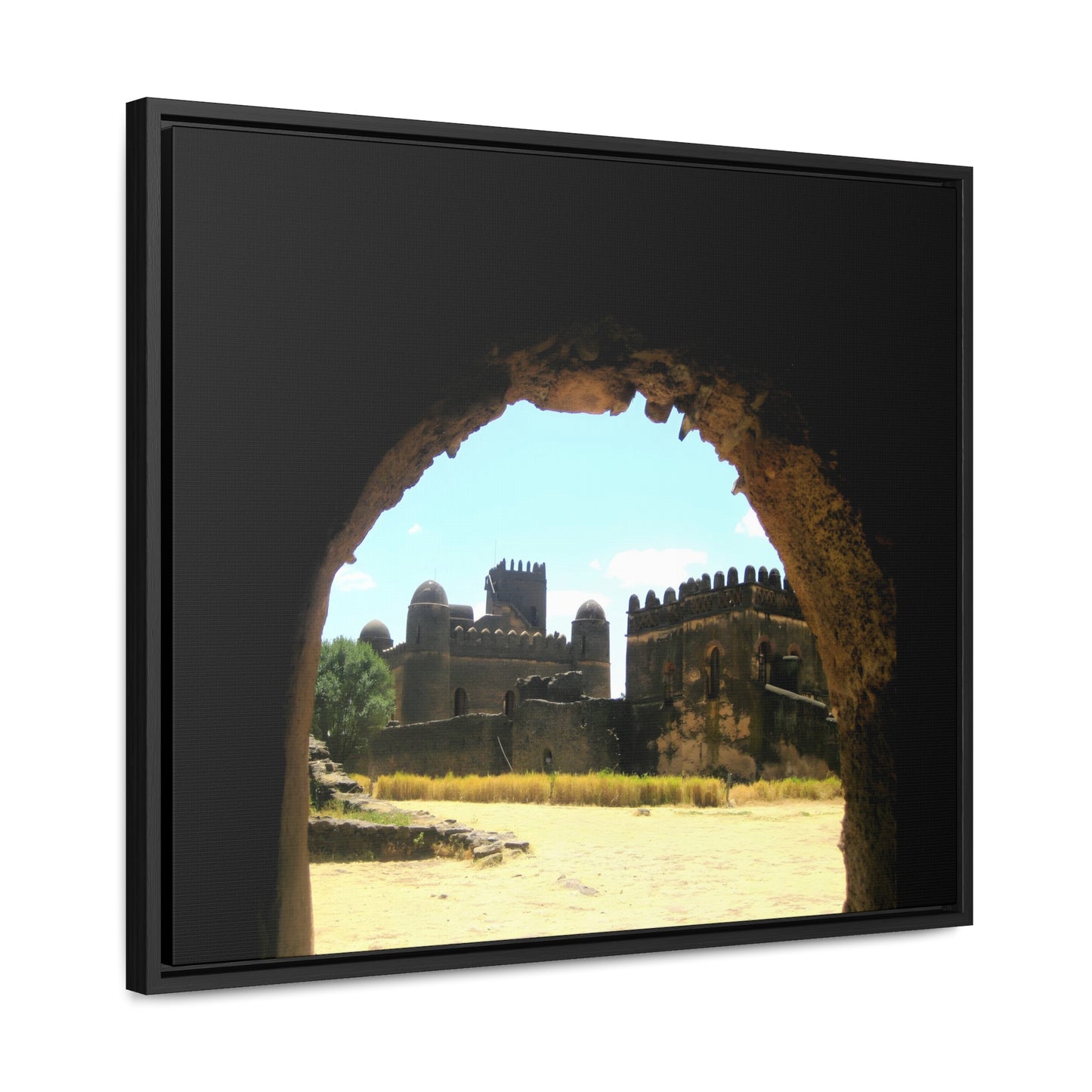 Through the Lion's Jaws - Framed Canvas Photography