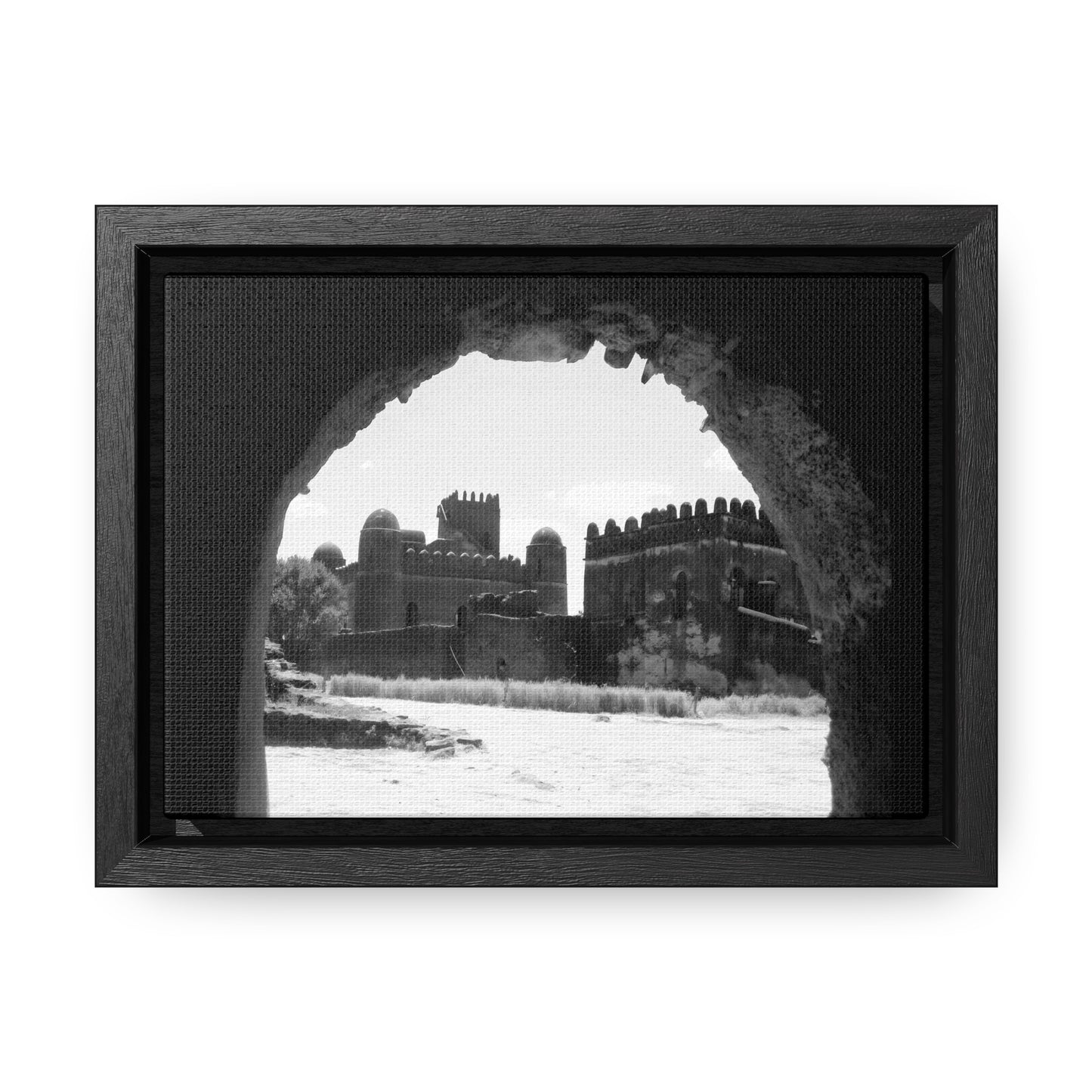 Through the Lion's Jaws - Framed Canvas Photography b&w