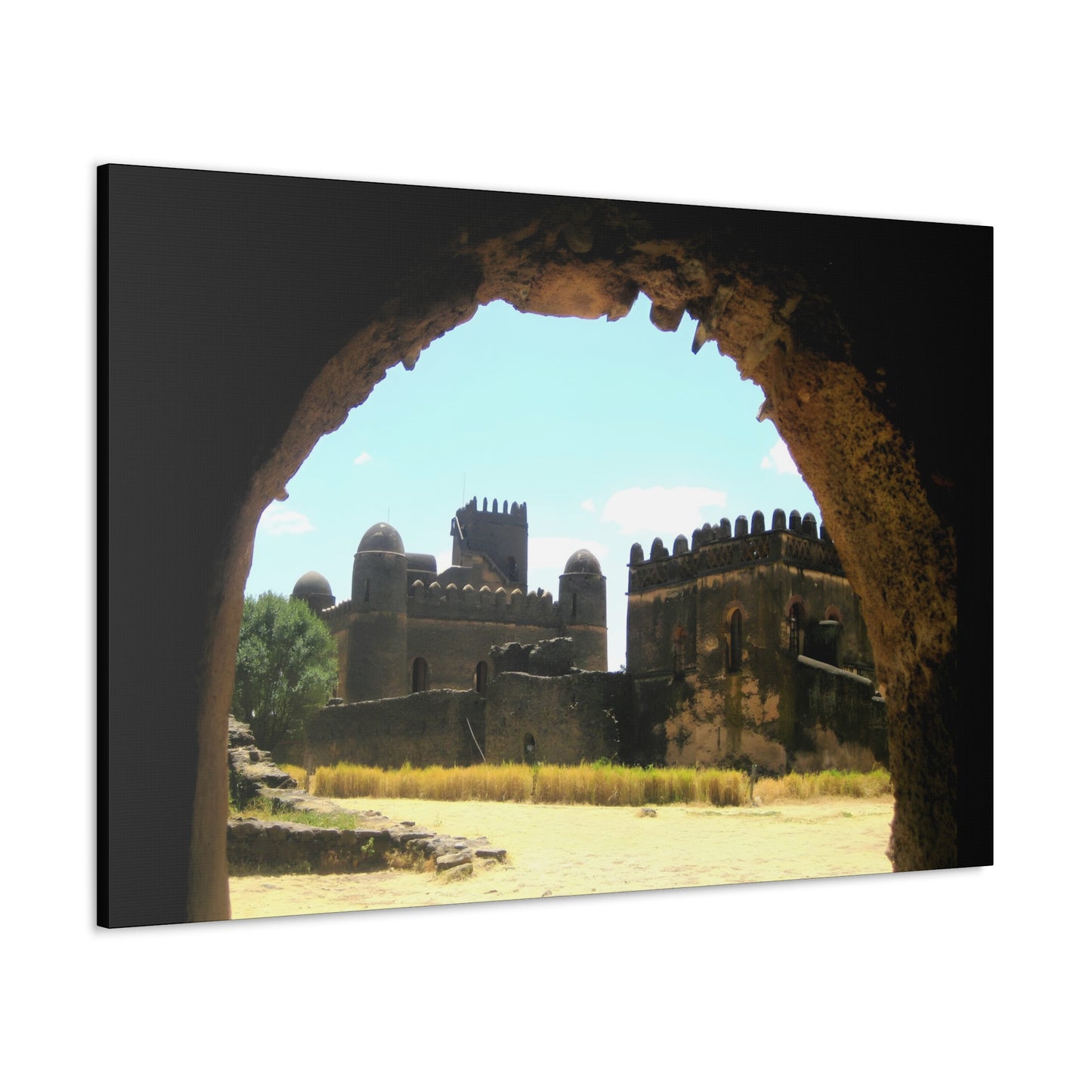 Through the Lion's Jaws - Canvas Photography