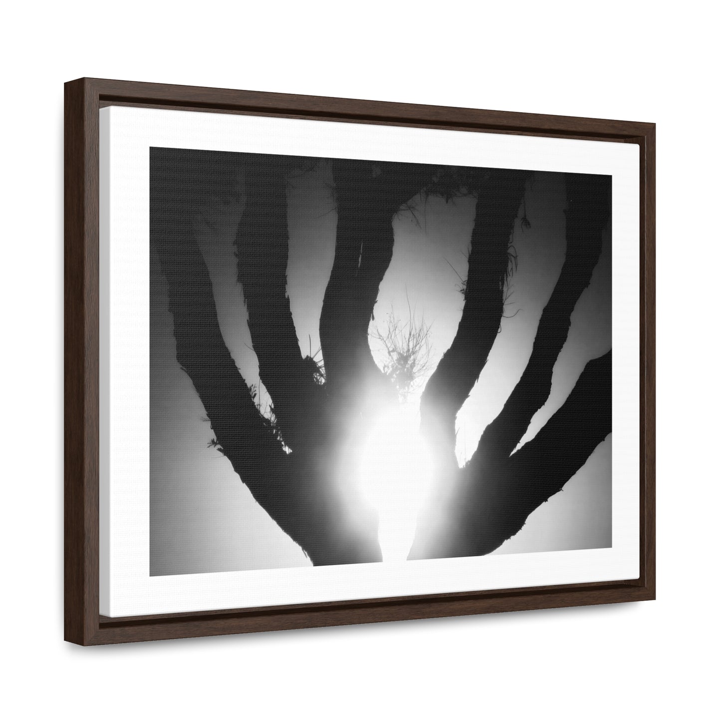 De-Light in the Heart of the Soul - Framed Canvas b&w Photography