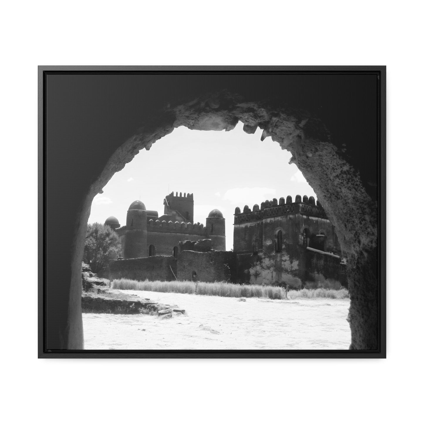 Through the Lion's Jaws - Framed Canvas Photography b&w