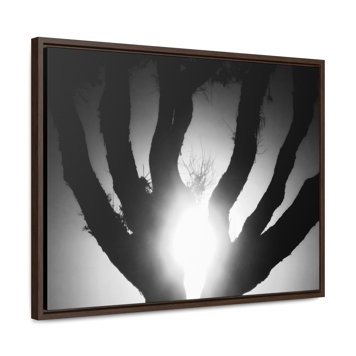 De-Light in the Heart of the Soul - Framed Canvas b&w Photography