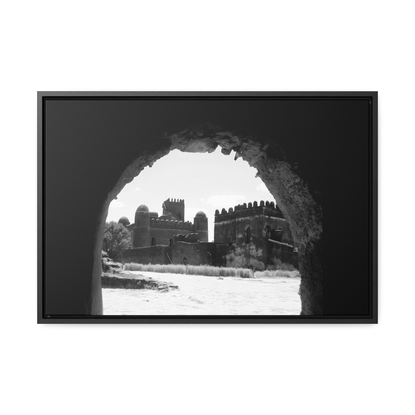 Through the Lion's Jaws - Framed Canvas Photography b&w