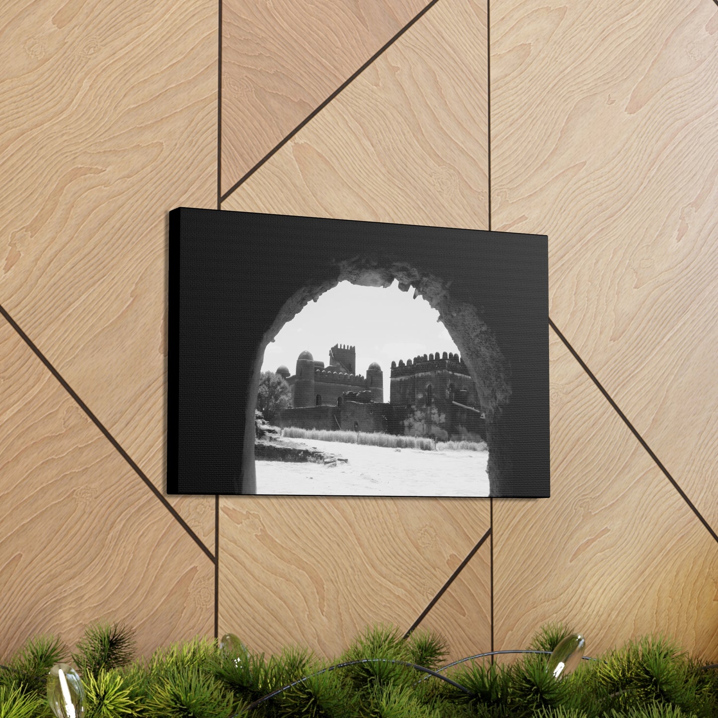 Through the Lion's Jaws - Canvas Photography b&w