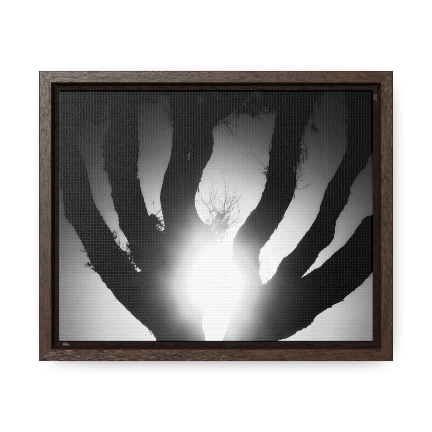 De-Light in the Heart of the Soul - Framed Canvas b&w Photography