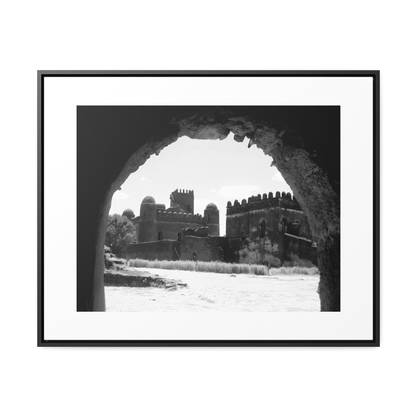 Through the Lion's Jaws - Framed Canvas Photography b&w