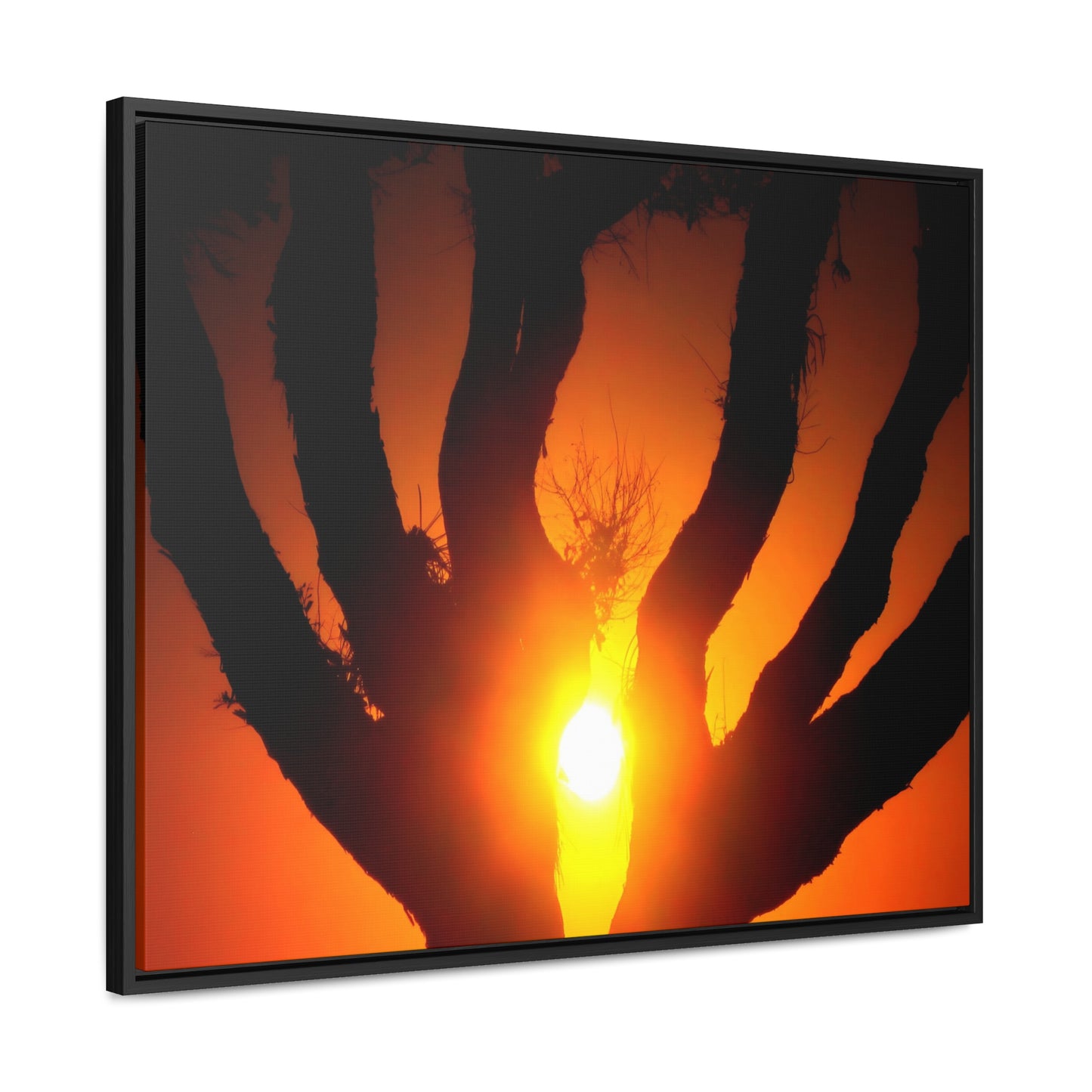 De-Light in the Heart of the Soul - Framed Canvas Photography
