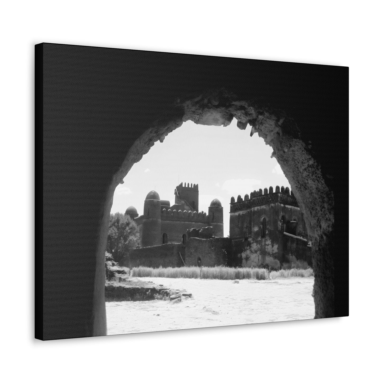 Through the Lion's Jaws - Canvas Photography b&w