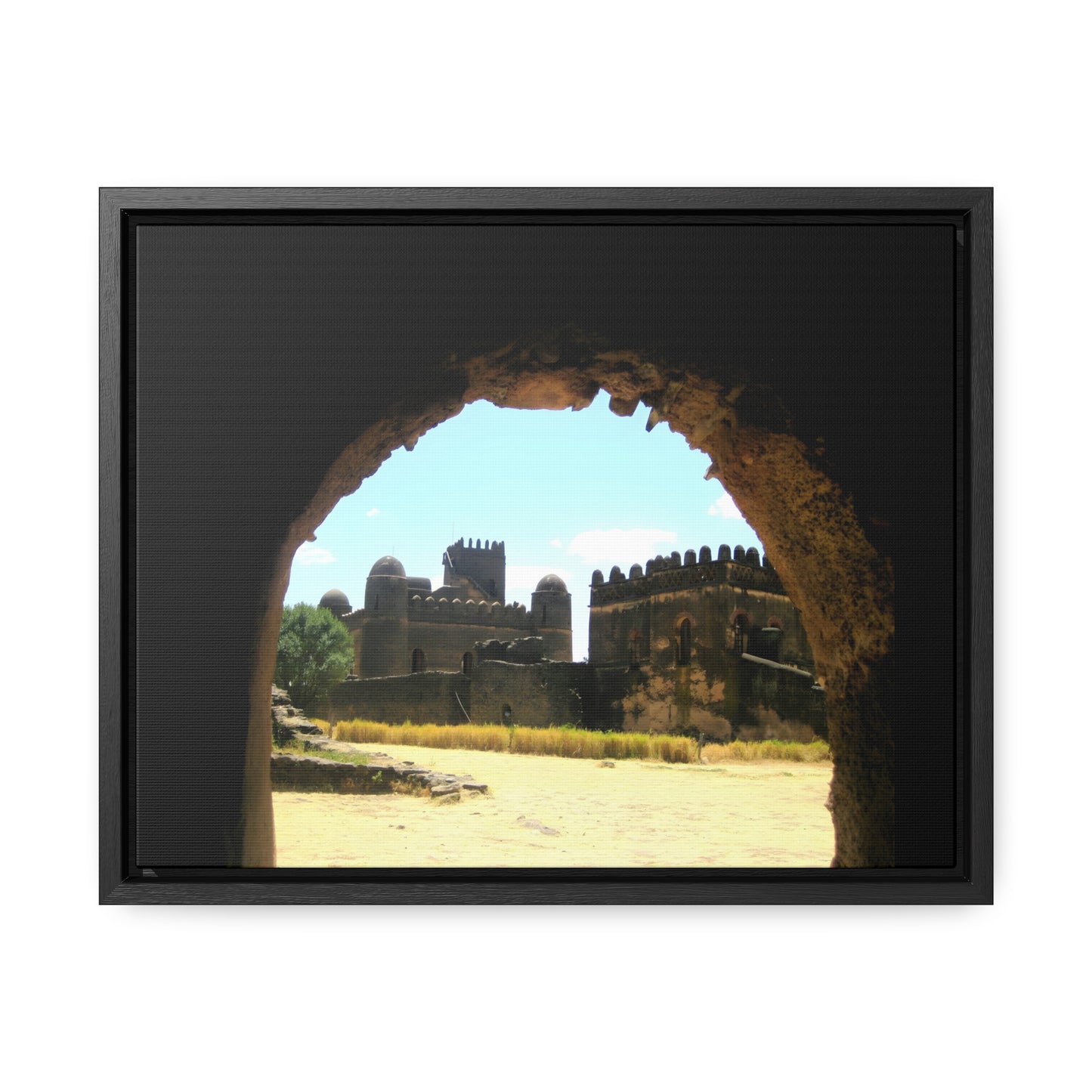 Through the Lion's Jaws - Framed Canvas Photography