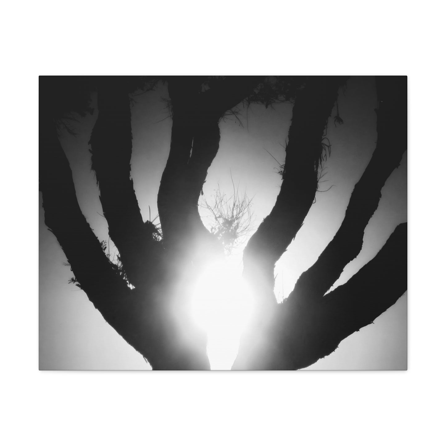 De-Light in the Heart of the Soul - Canvas Photography b/w