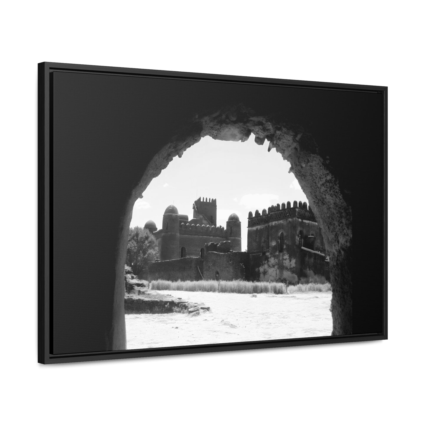 Through the Lion's Jaws - Framed Canvas Photography b&w