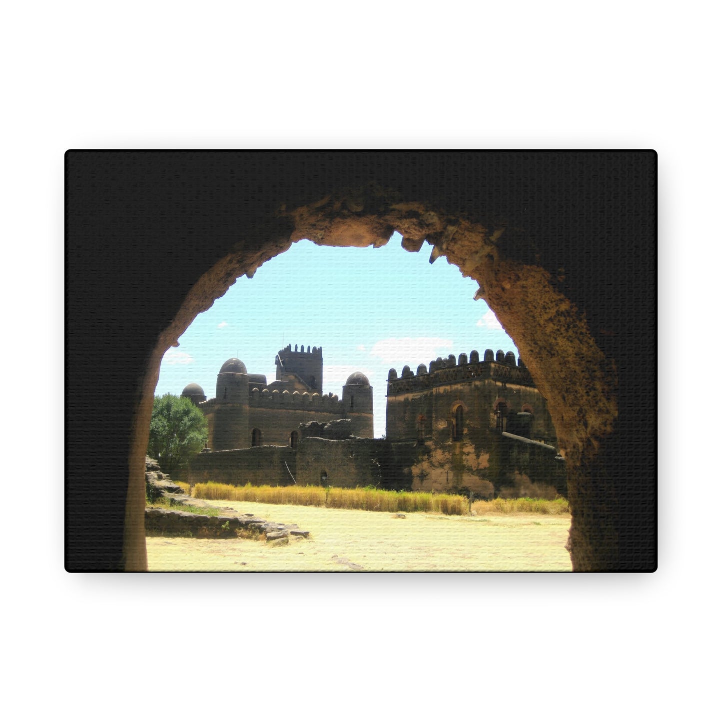 Through the Lion's Jaws - Canvas Photography