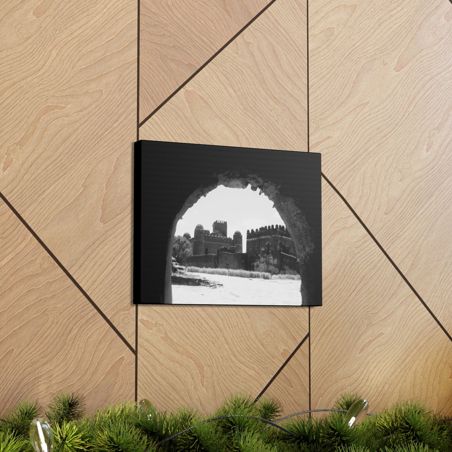 Through the Lion's Jaws - Canvas Photography b&w