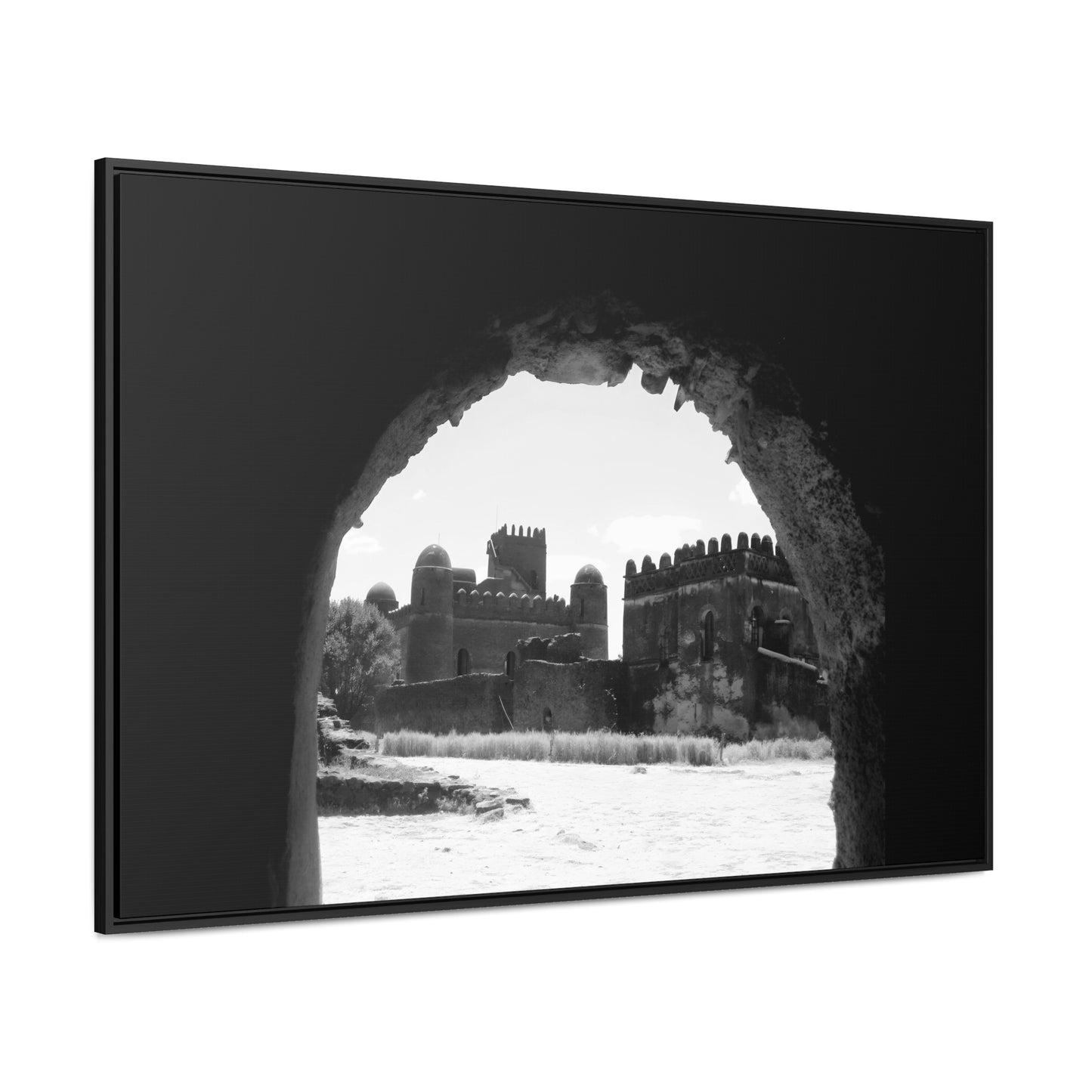 Through the Lion's Jaws - Framed Canvas Photography b&w
