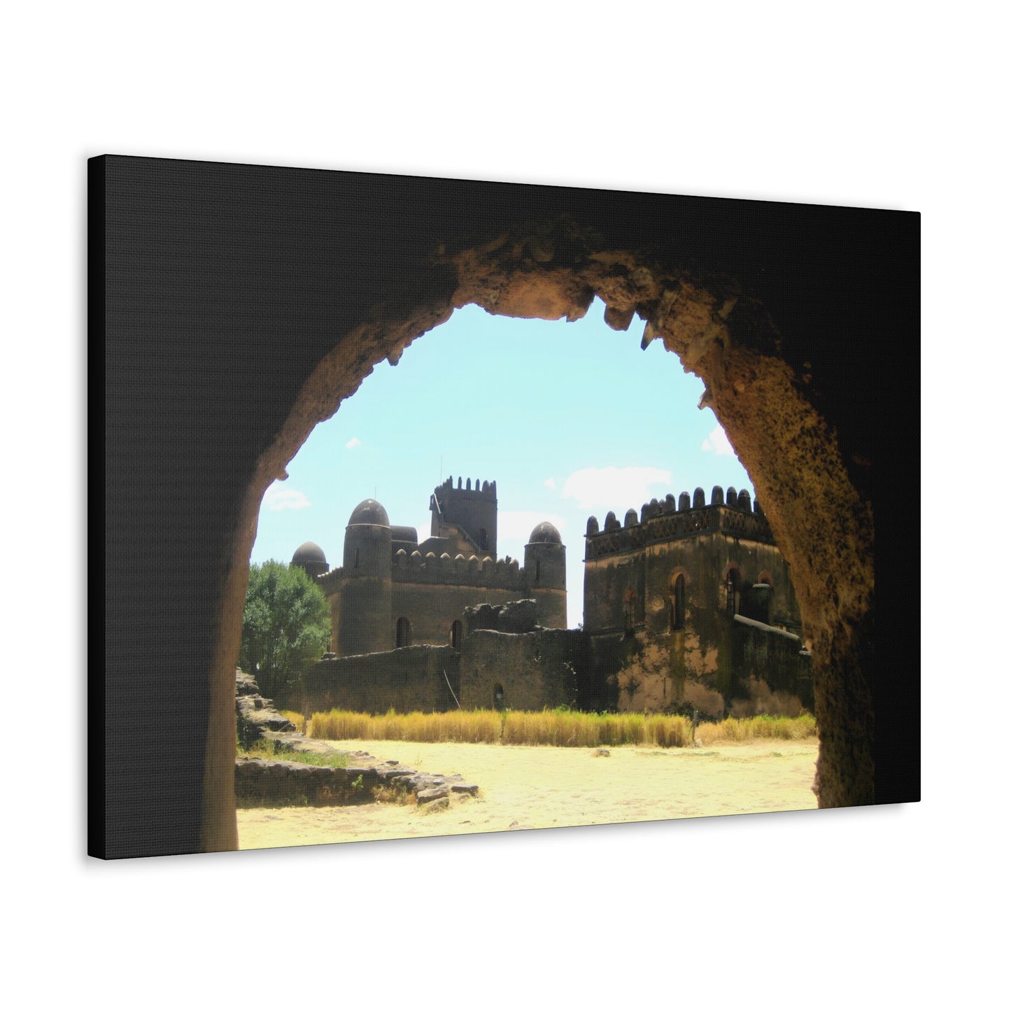 Through the Lion's Jaws - Canvas Photography