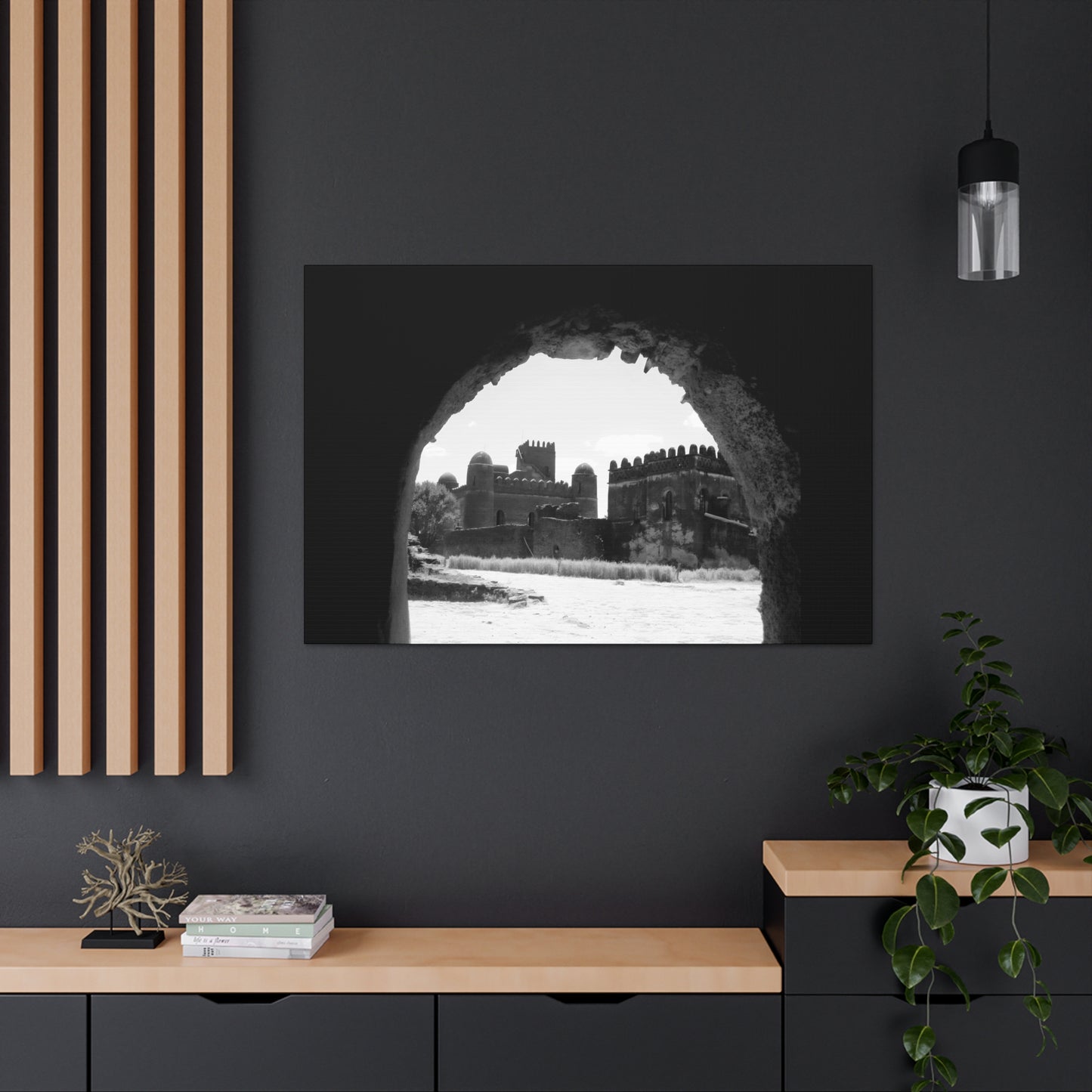 Through the Lion's Jaws - Canvas Photography b&w