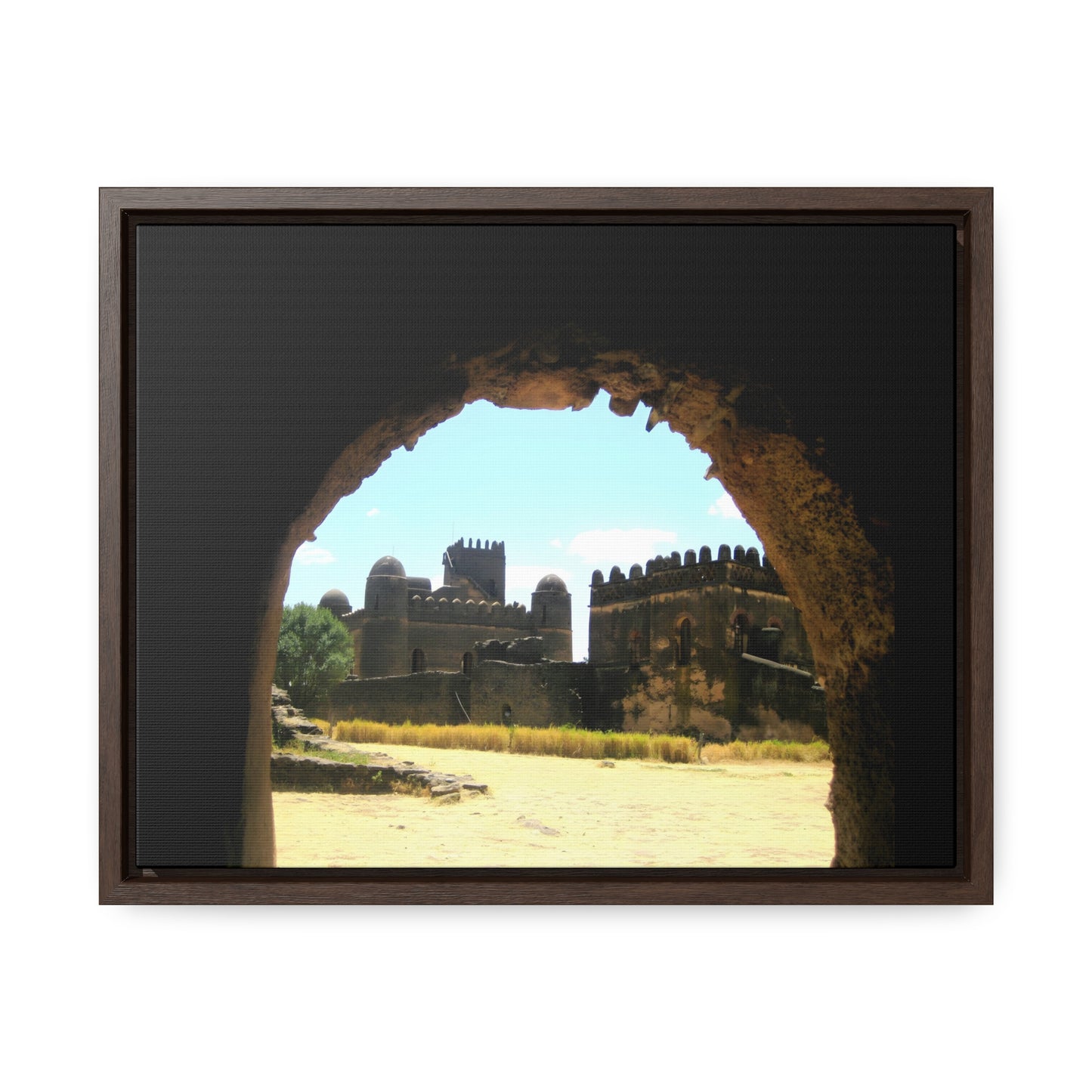 Through the Lion's Jaws - Framed Canvas Photography