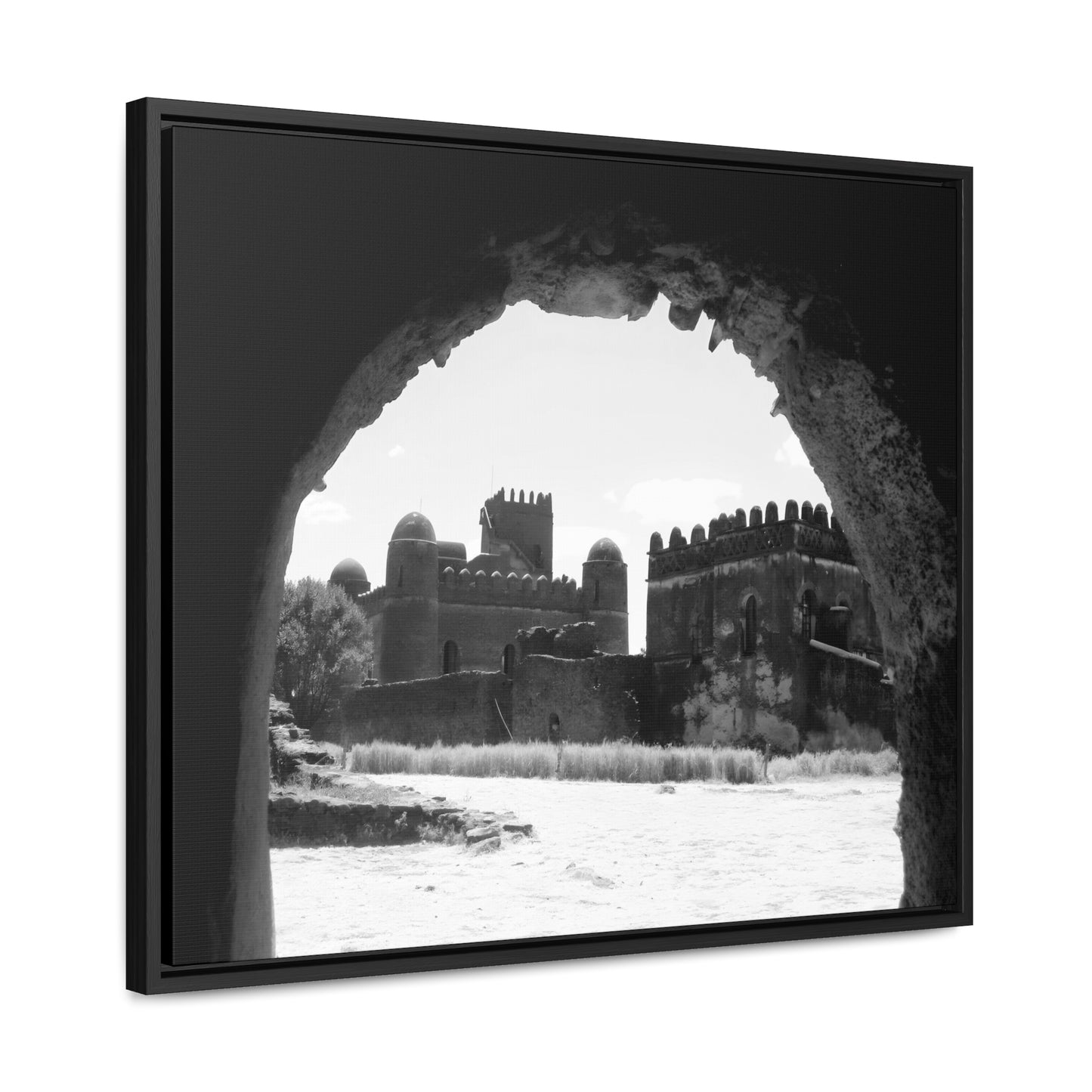 Through the Lion's Jaws - Framed Canvas Photography b&w