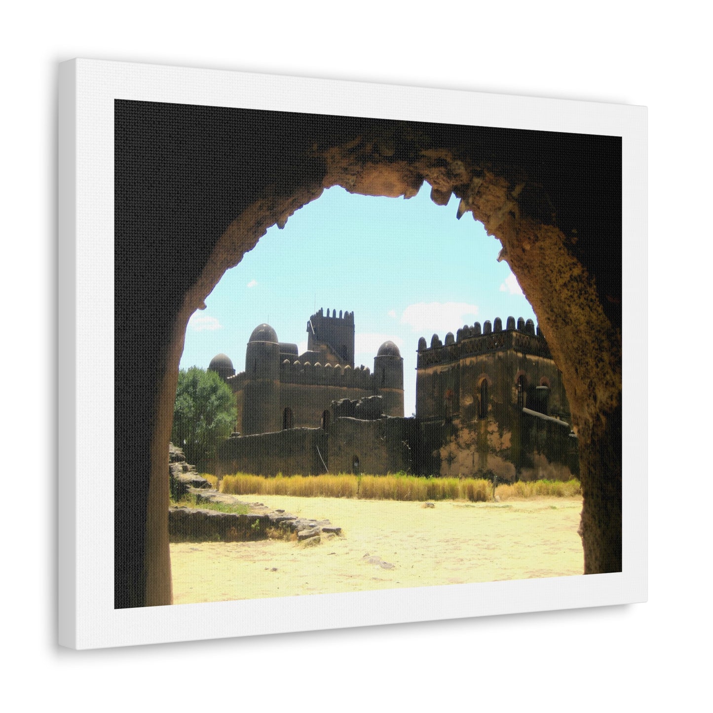 Through the Lion's Jaws - Canvas Photography