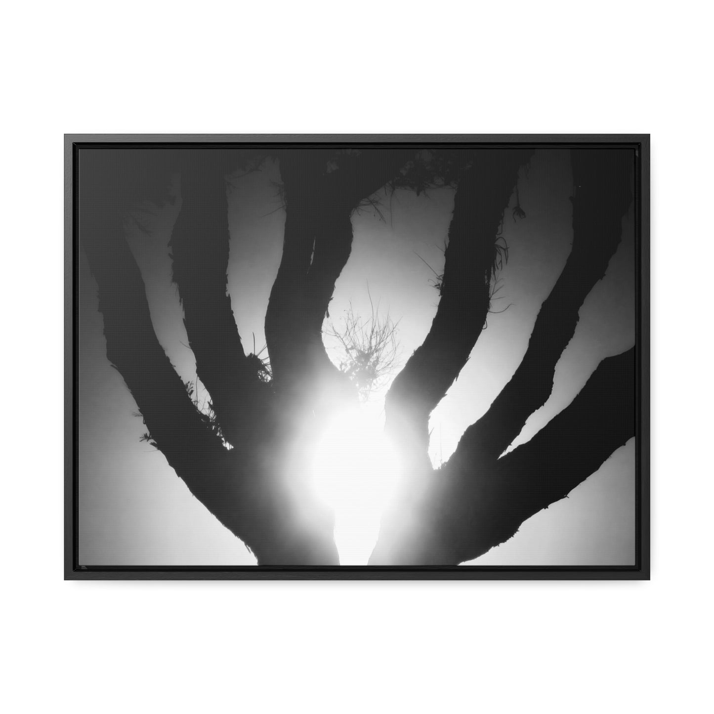 De-Light in the Heart of the Soul - Framed Canvas b&w Photography