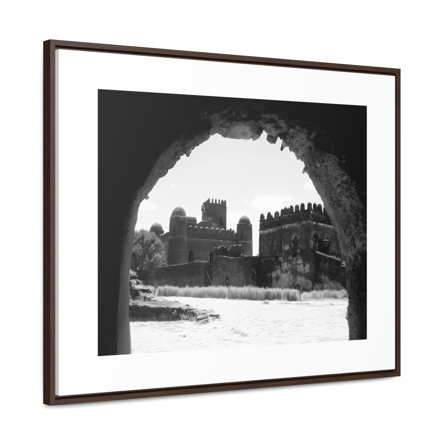 Through the Lion's Jaws - Framed Canvas Photography b&w