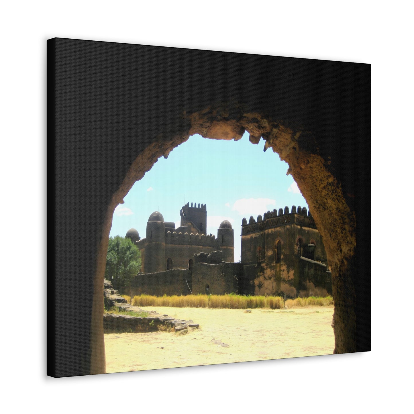 Through the Lion's Jaws - Canvas Photography