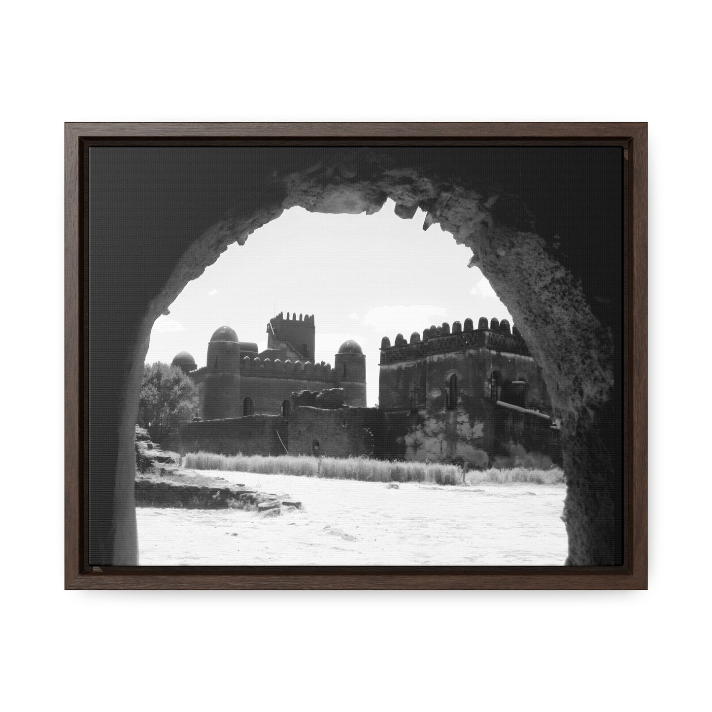Through the Lion's Jaws - Framed Canvas Photography b&w